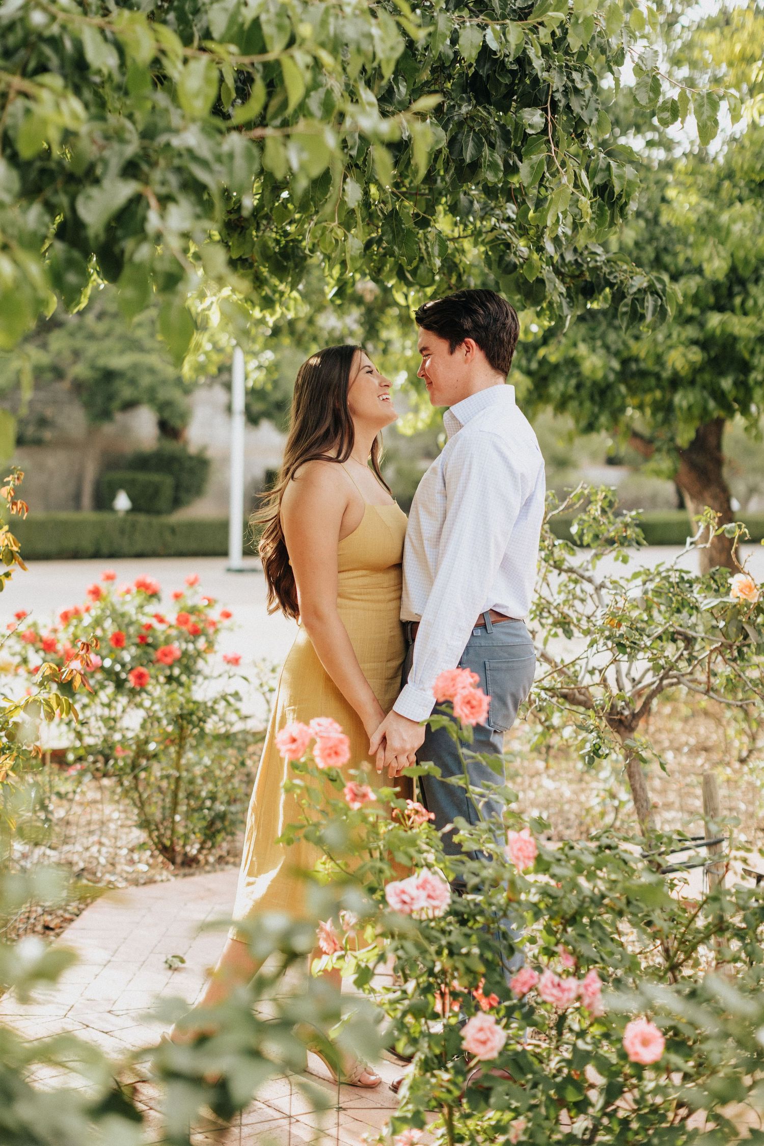 A romantic couple shares a tender moment in a garden surrounded by pink roses and lush greenery on a sunny afternoon.