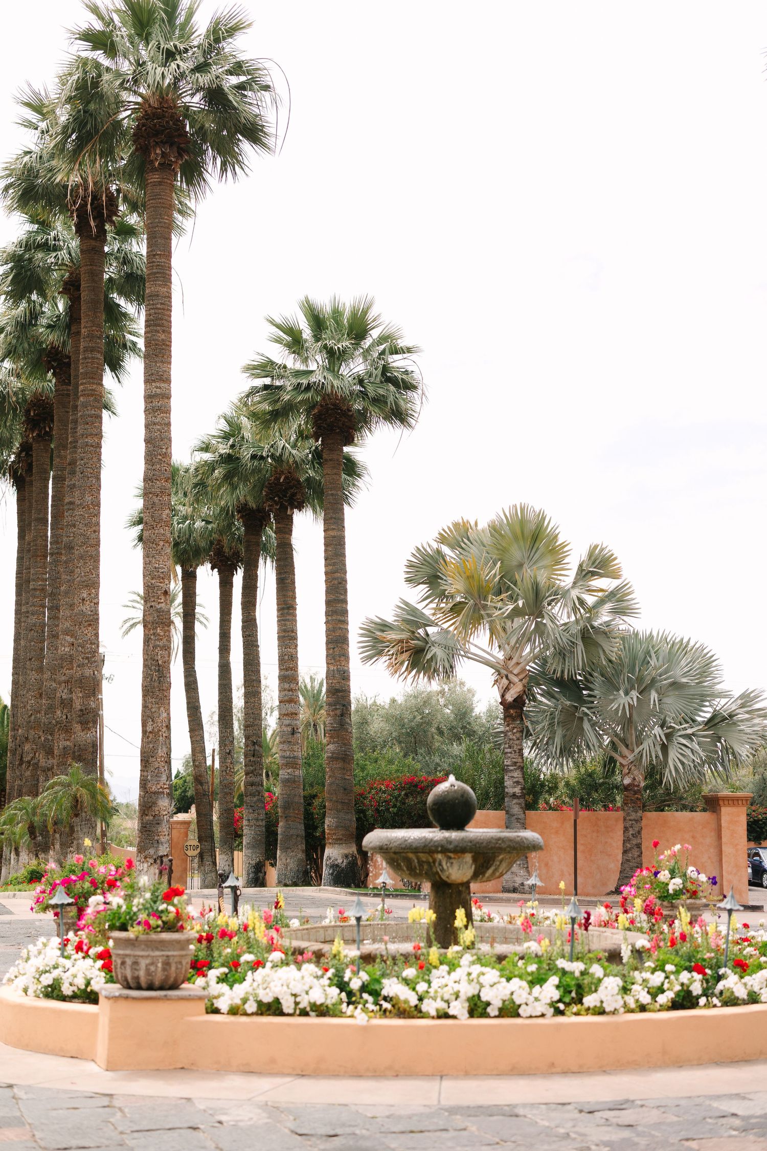 Palm trees line a decorative walkway with colorful flower beds at a resort venue.