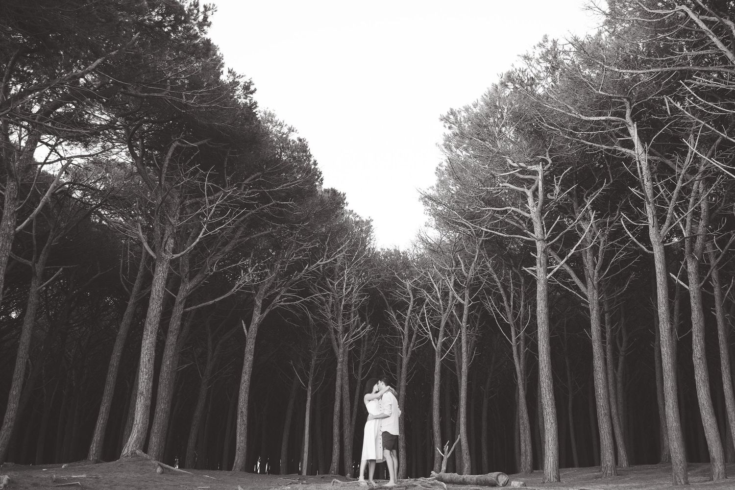Natural couple portrait session in a Tuscan pinewood. Light, shadow, and nature meet romance in this cinematic shot.
