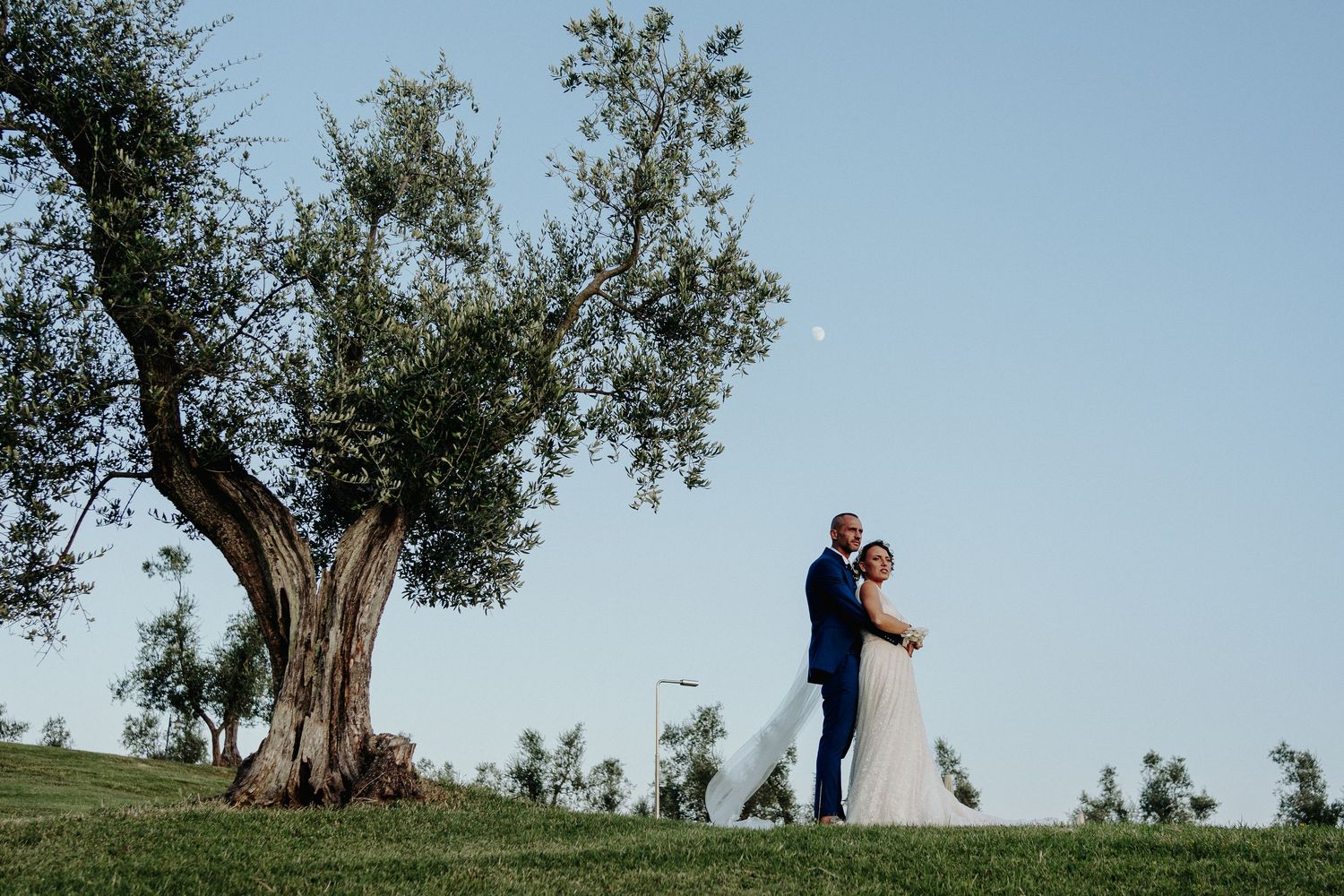 trees — a symbol of Tuscany and timeless love