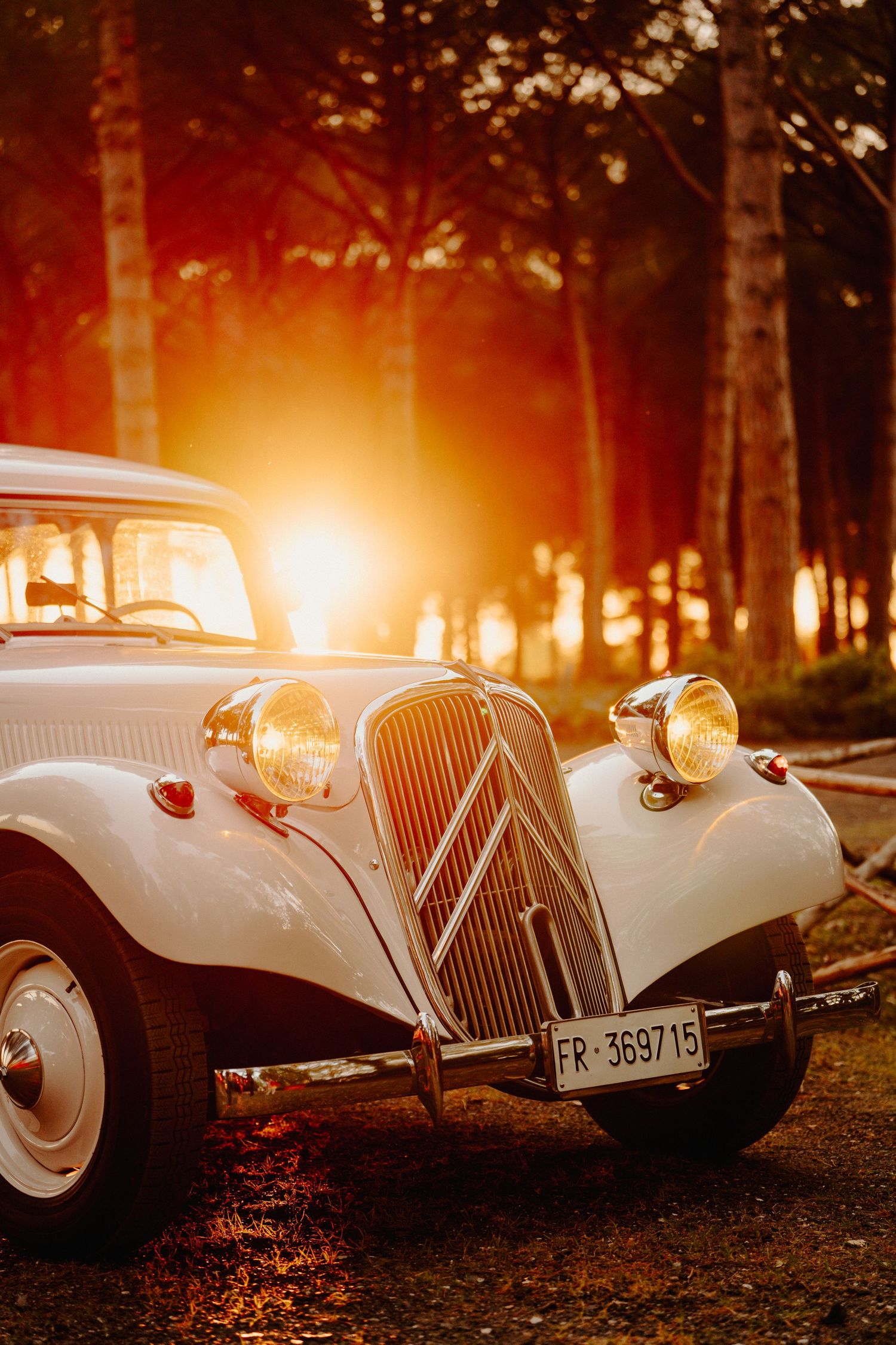 Classic white vintage Citroen car at sunset through forest trees.