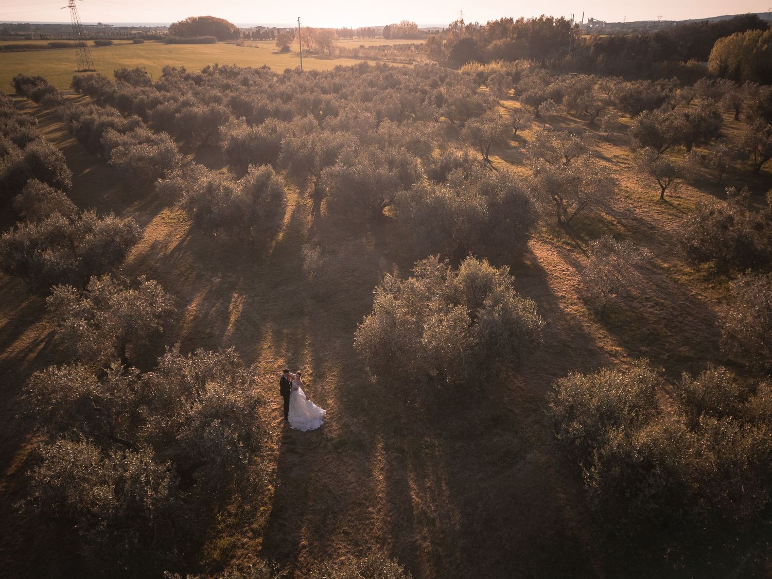 Aerial view of newlyweds surrounded by golden sunlit trees in vast landscape.