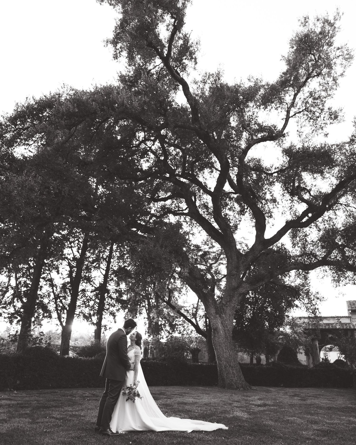 A romantic black and white photo series of five wedding moments under majestic oak trees in a natural outdoor setting.