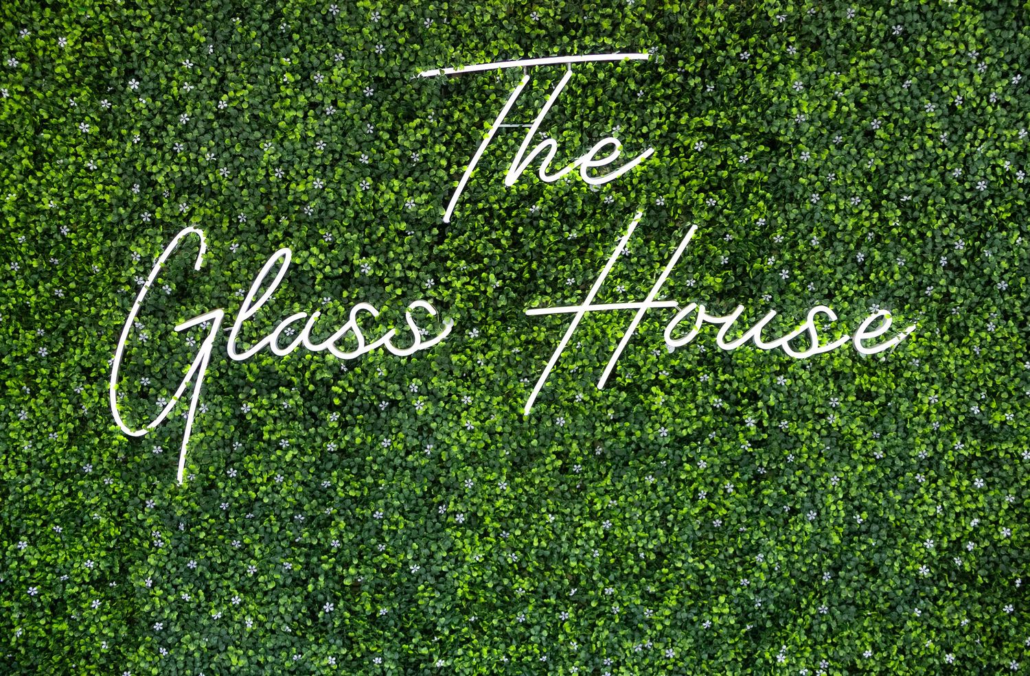 Neon sign reading 'The Glass House' mounted on a lush green hedge wall or artificial grass backdrop.