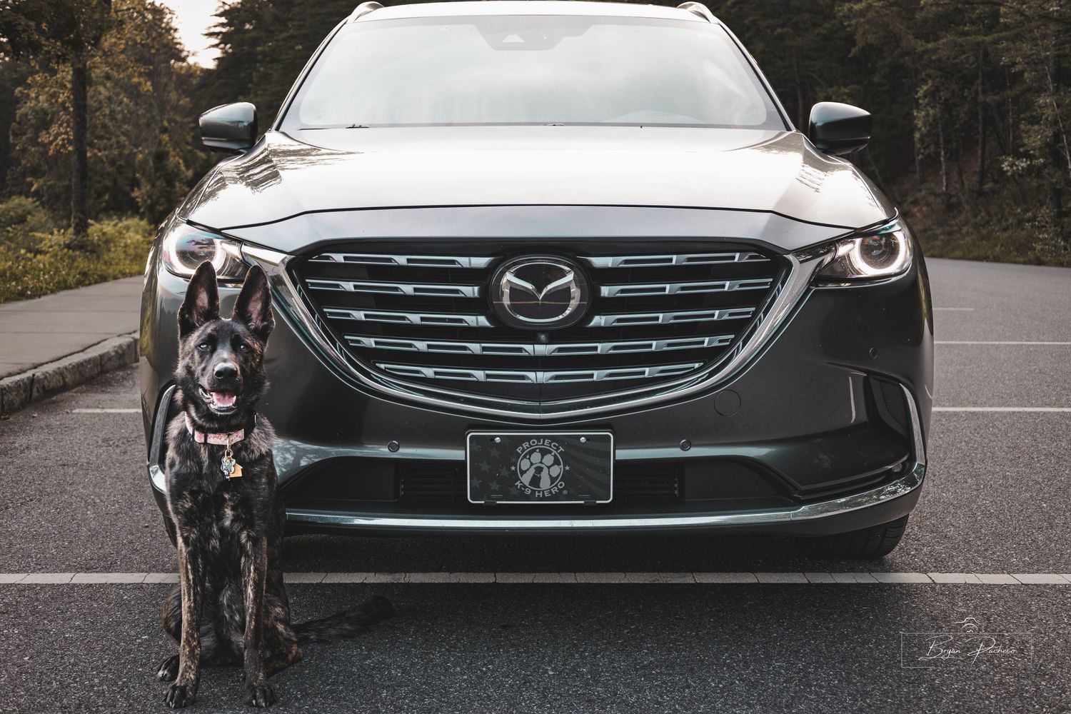 A gray Mazda CX-9 SUV parked in a lot with a dog sitting in front of the vehicle.