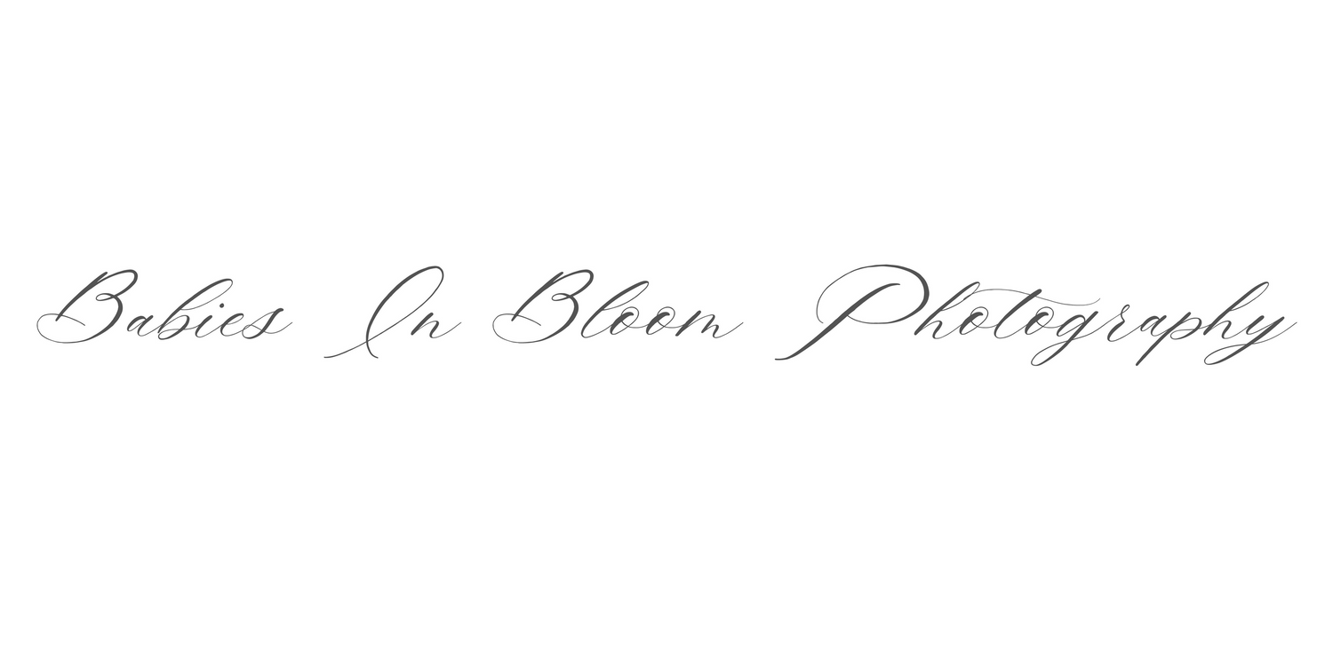 Babies In Bloom Photography elegant cursive script logo on white background.