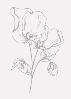 Minimalist gray line art illustration of two blooming flowers with leaves and bud.
