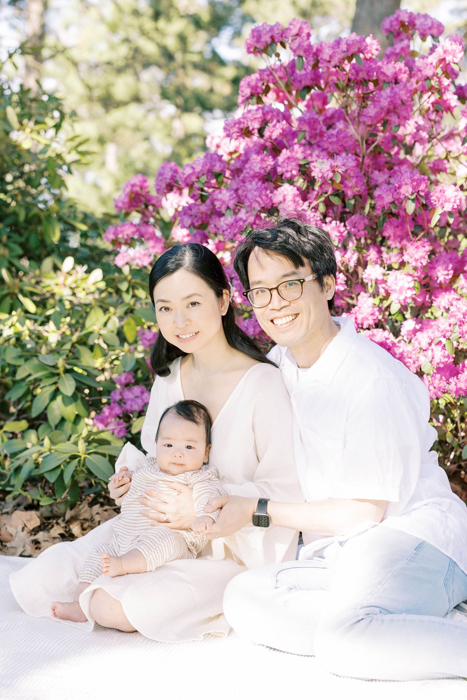 Happy Asian family with baby sits together smiling before stunning pink rhododendron bushes in sunny garden.