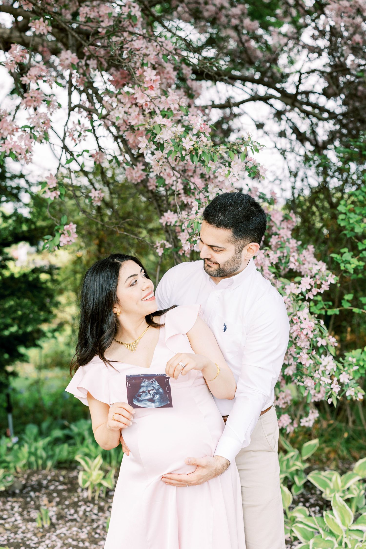 Expecting couple holding ultrasound scan, embracing under pink flowering cherry blossom tree outdoors.