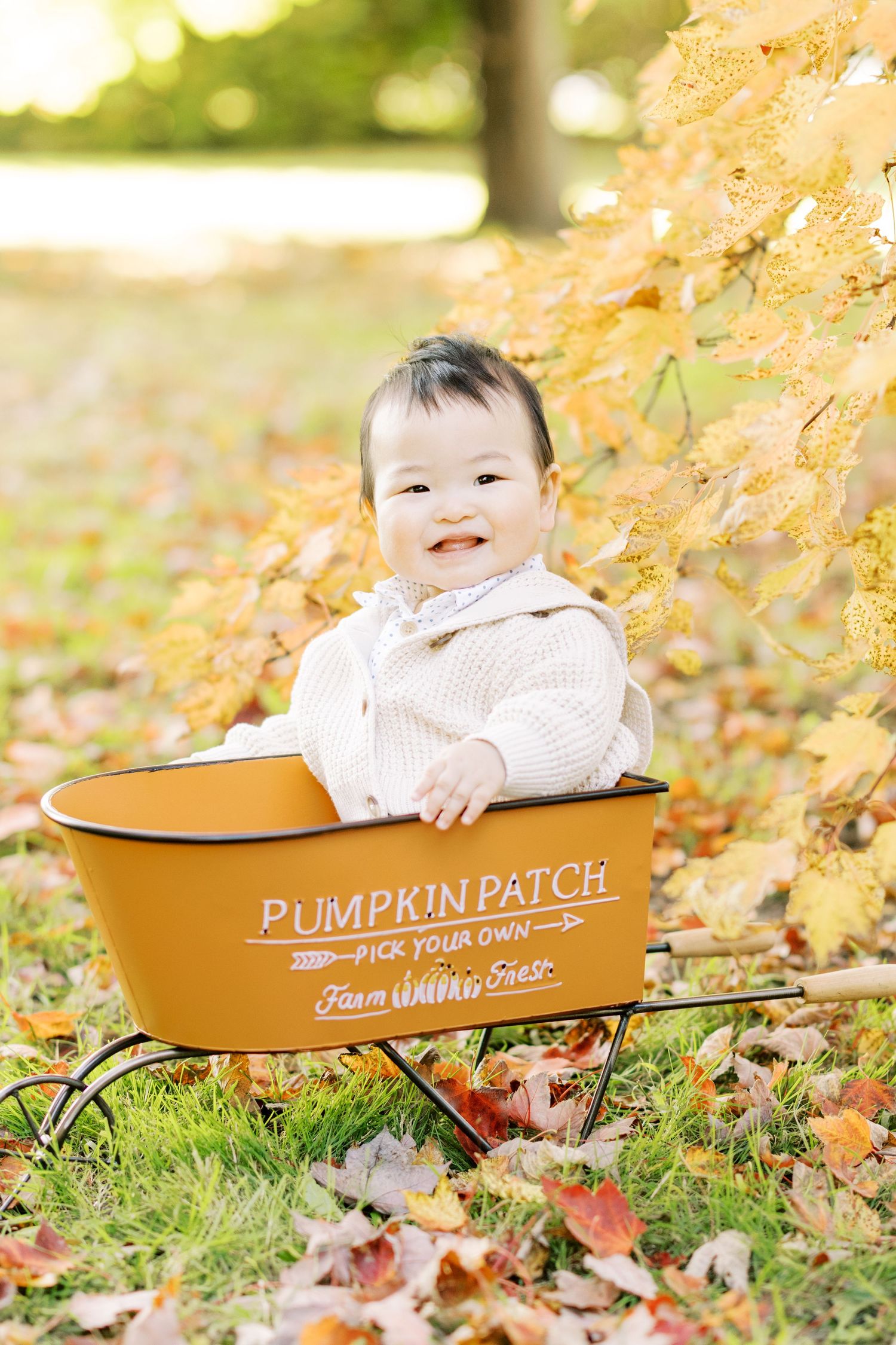 A smiling baby sits in a yellow Pumpkin Patch wagon surrounded by colorful autumn leaves.