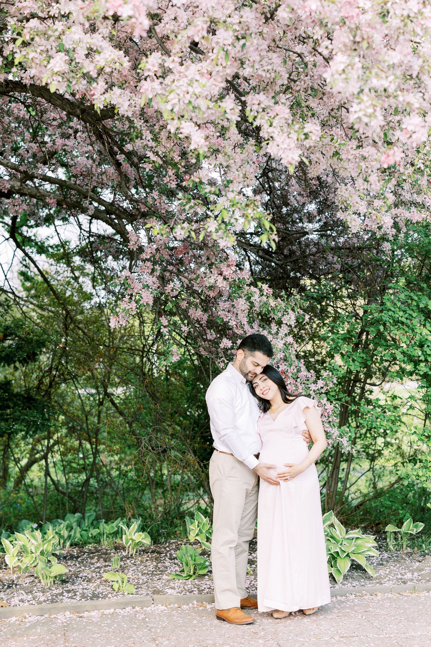 Expecting couple embraces tenderly under a canopy of pink blossoming trees in a garden.