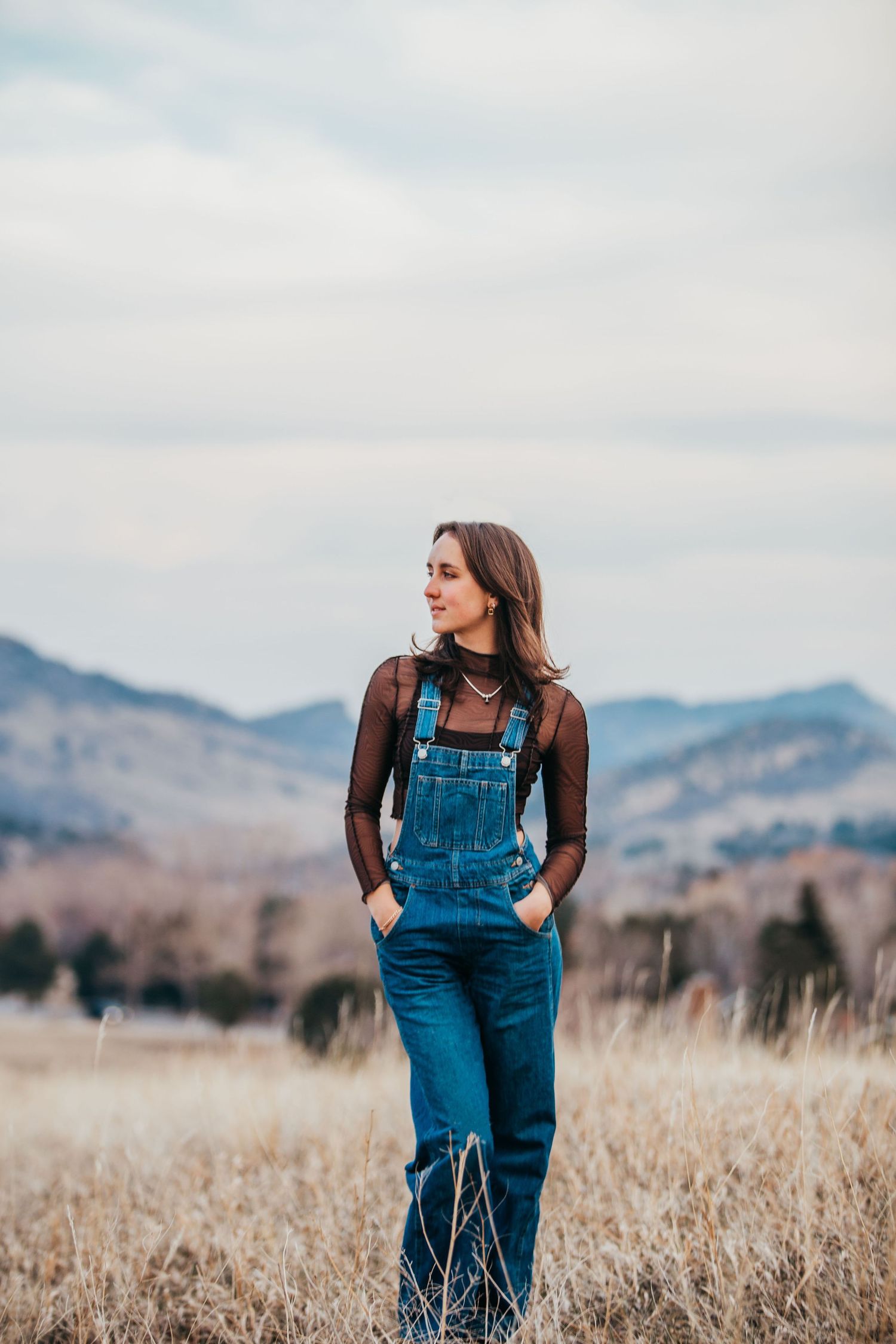 Person in denim overalls stands in golden field with mountains in background.