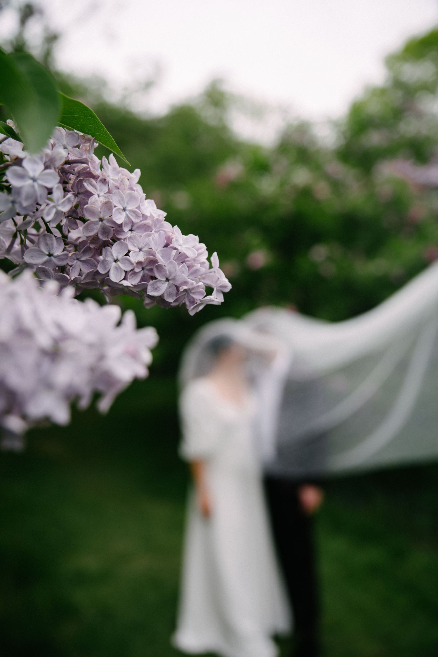 A bride and groom stand in a lush garden, framed by blooming purple lilac flowers in the foreground.