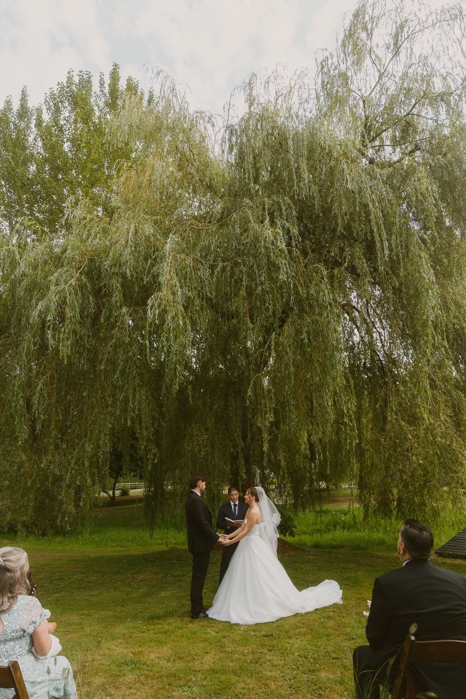 Bride and groom exchange vows under a weeping willow tree during an outdoor wedding ceremony on a green lawn.