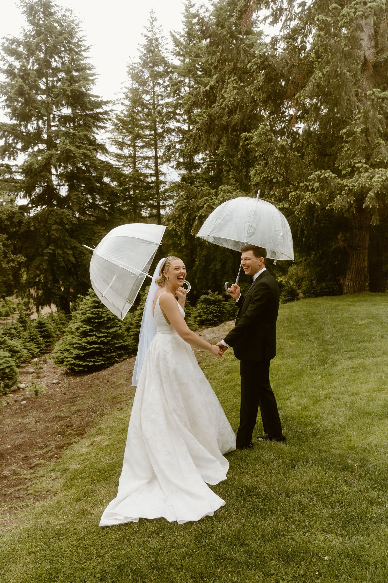 Bride and groom laughing and holding clear umbrellas on a lush green lawn surrounded by evergreen trees on a rainy wedding day.