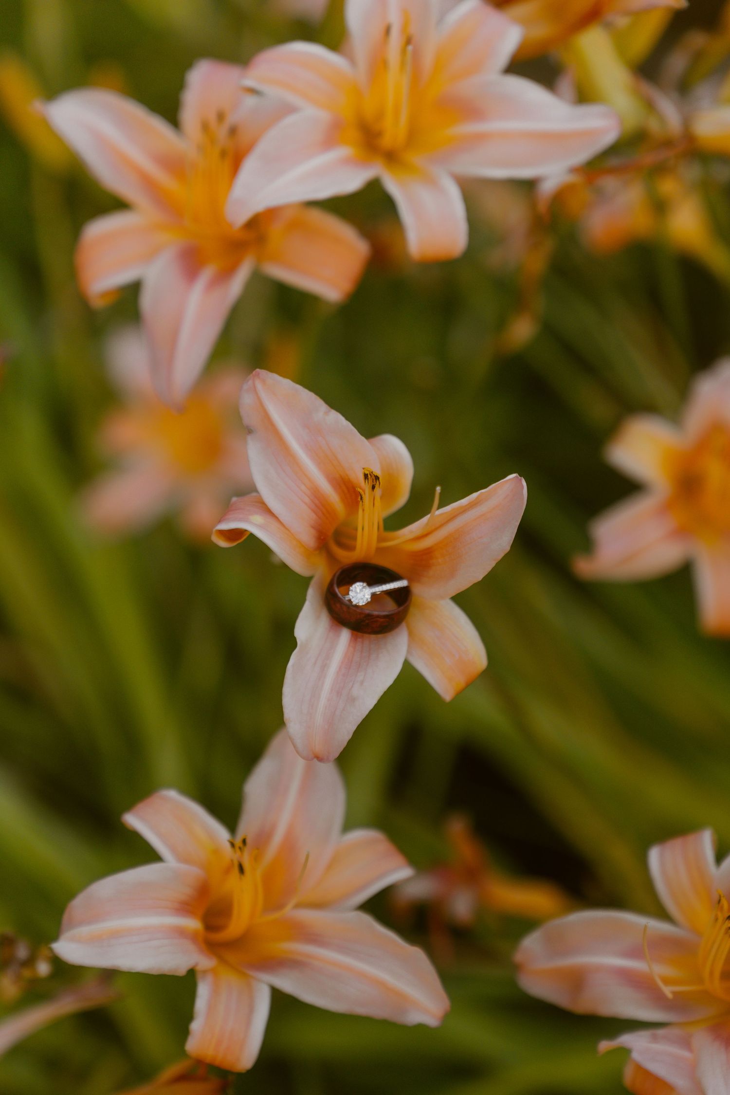 Wedding rings nestled in a peach daylily bloom surrounded by orange flowers in a lush green garden.