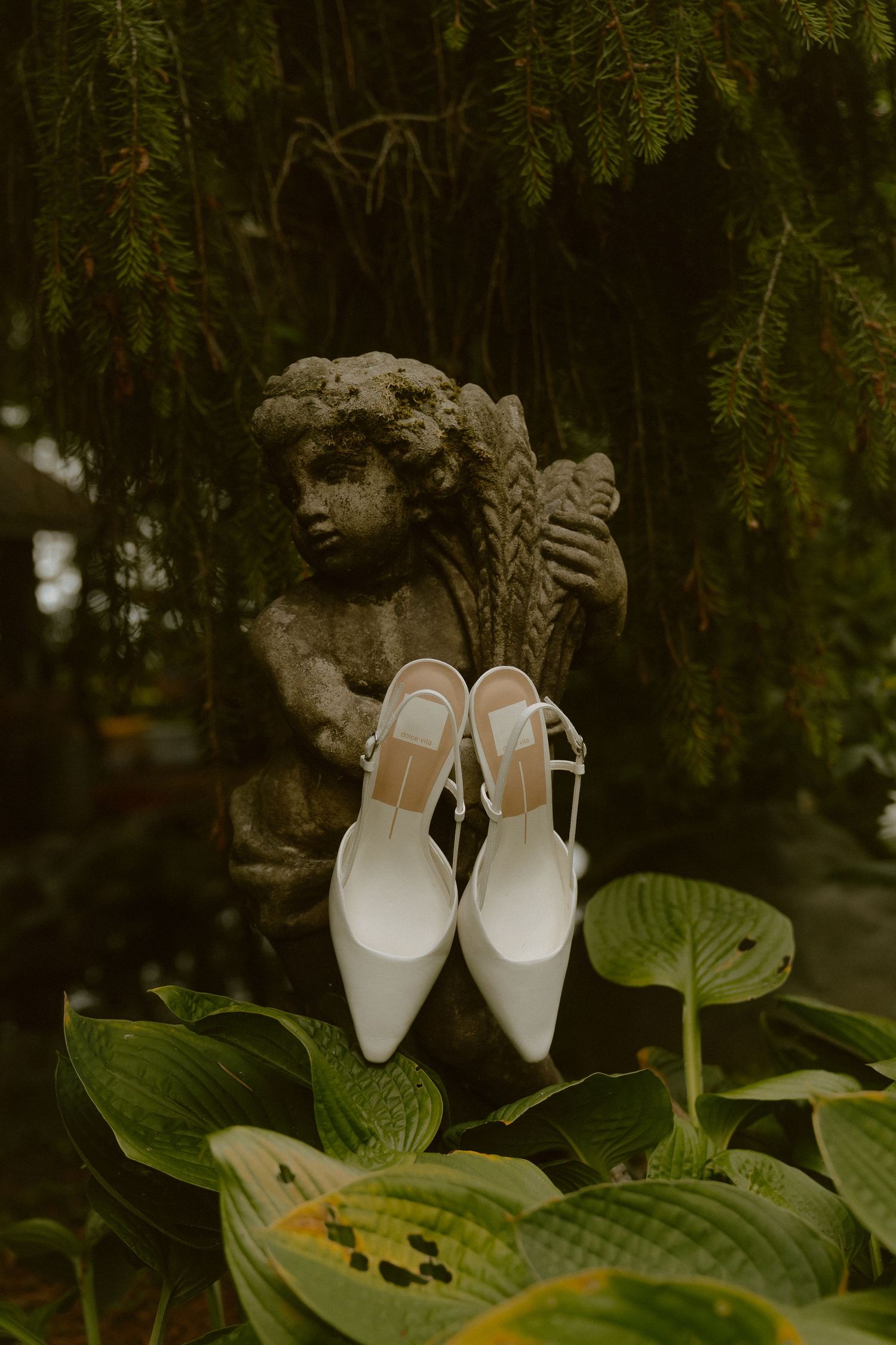 White pointed-toe slingback bridal heels hanging in front of a mossy cherub garden statue, framed by evergreen branches and hosta leaves.
