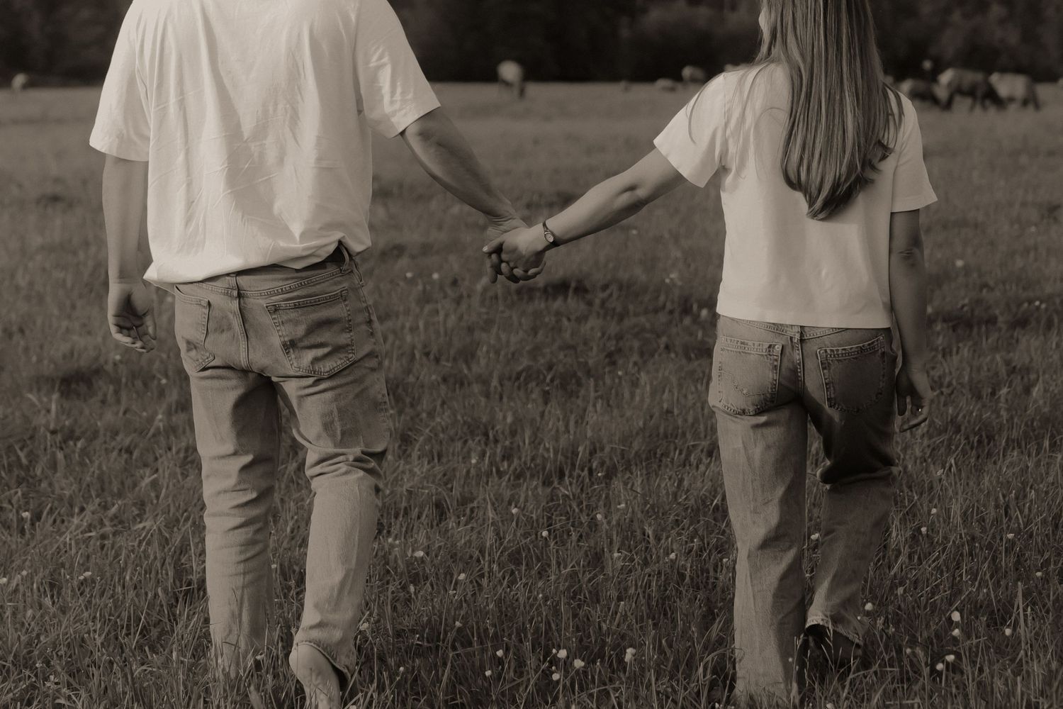 A couple holds hands while walking through a green meadow, viewed from behind, wearing white shirts and jeans.