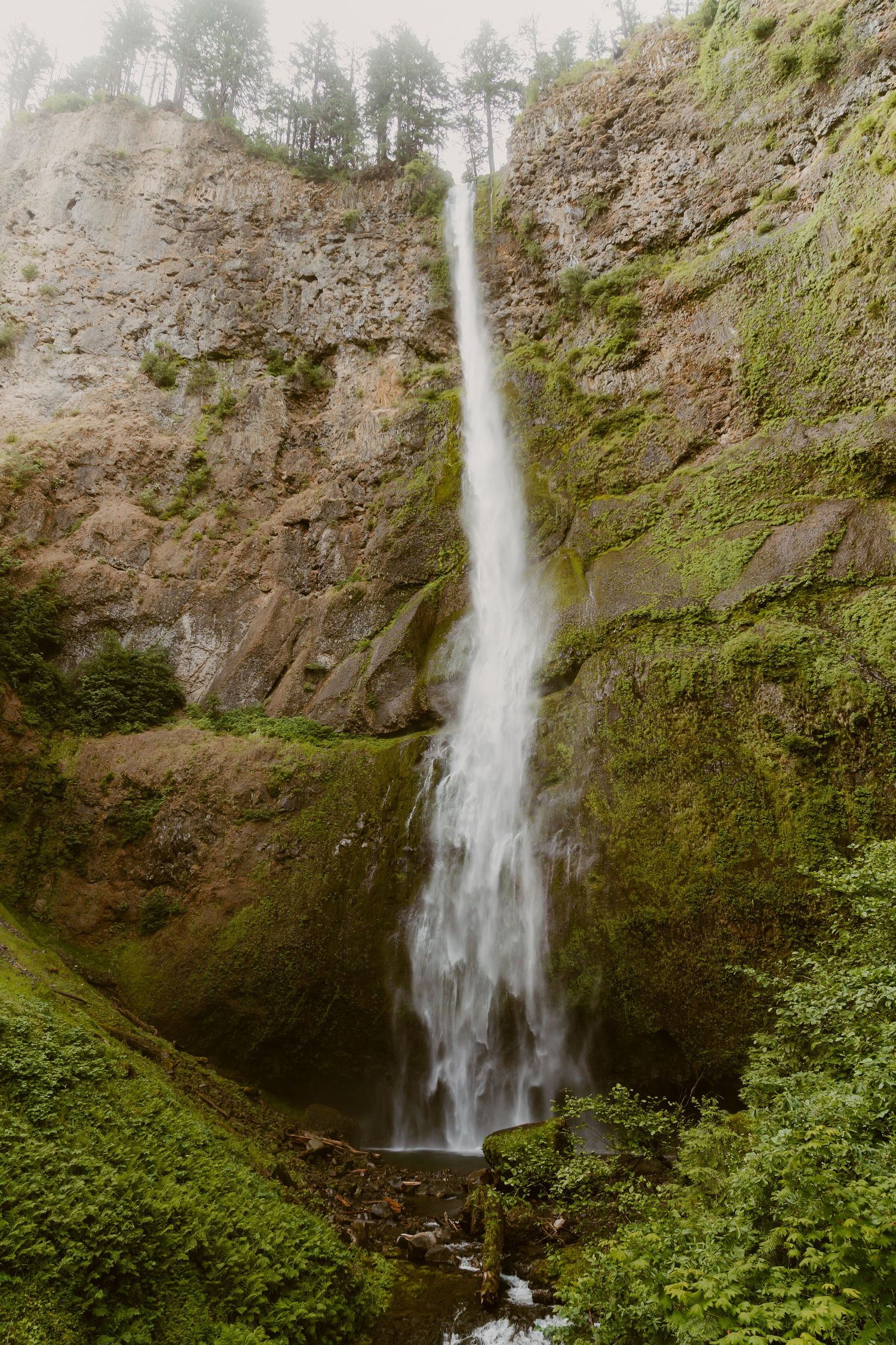 Tall waterfall cascading down a mossy rocky cliff surrounded by lush green vegetation in a forest canyon.