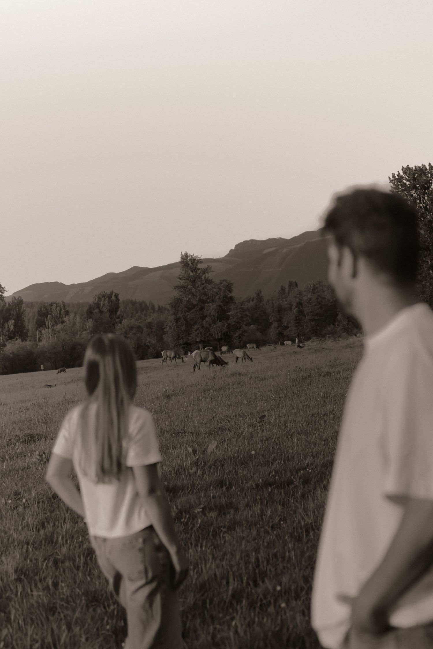 Couple in white t-shirts watching horses graze in a mountain meadow, sepia-toned rural landscape photo.