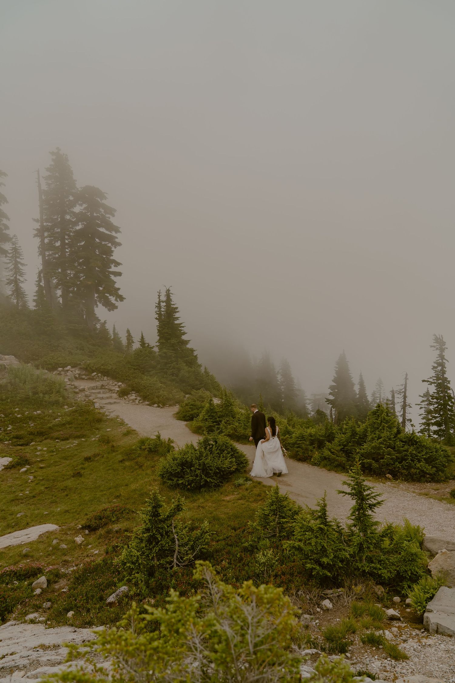 Misty mountain landscape with evergreen trees and rocky terrain.