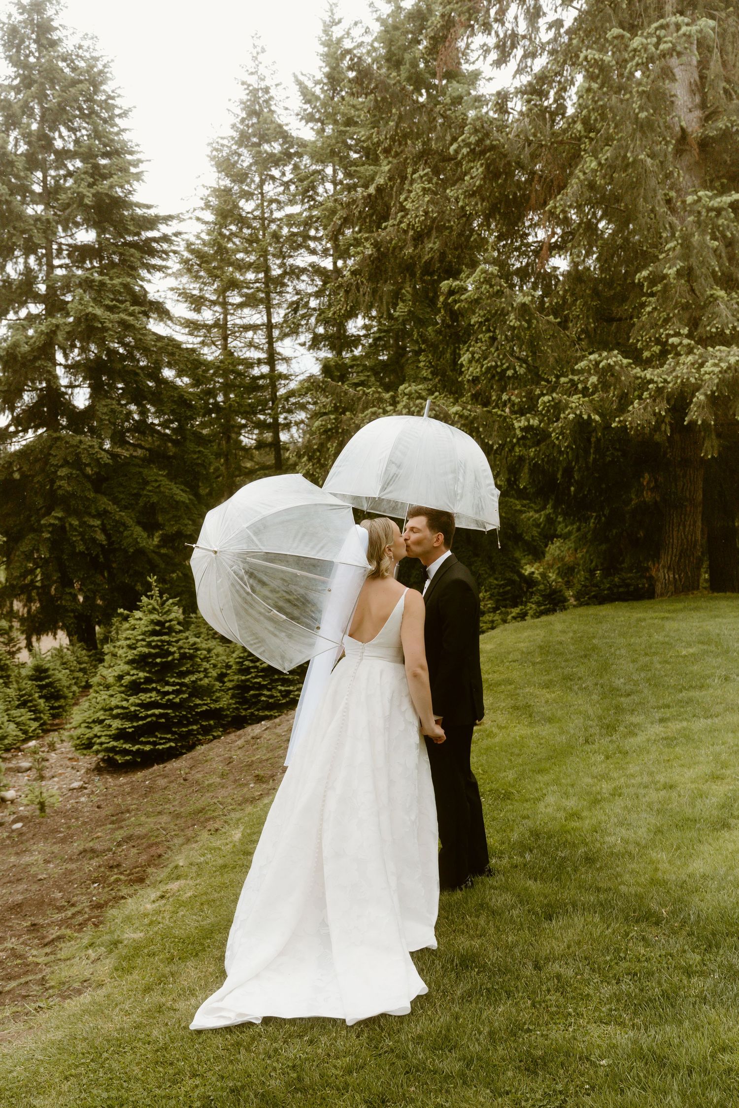 Bride and groom kissing under clear bubble umbrellas on a lush green lawn surrounded by tall evergreen trees.