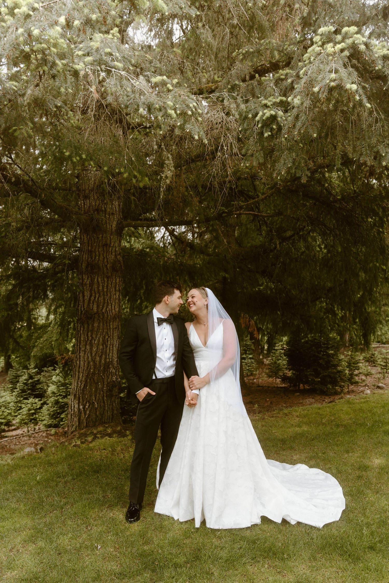 Bride and groom sharing a tender moment under a large evergreen tree on their wedding day outdoors.