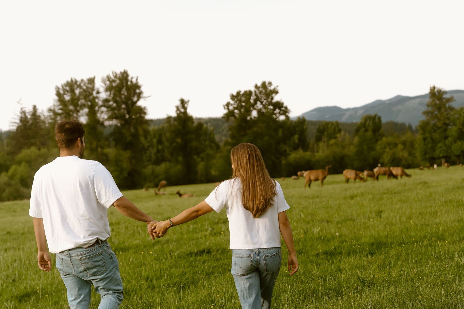 Couple holding hands walking through green meadow with deer grazing and mountains in background.