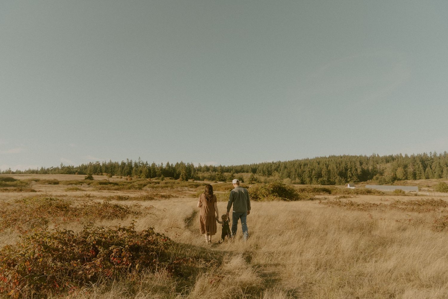 Two people stand together in a vast golden grassland with distant evergreen trees under a soft, hazy blue sky.