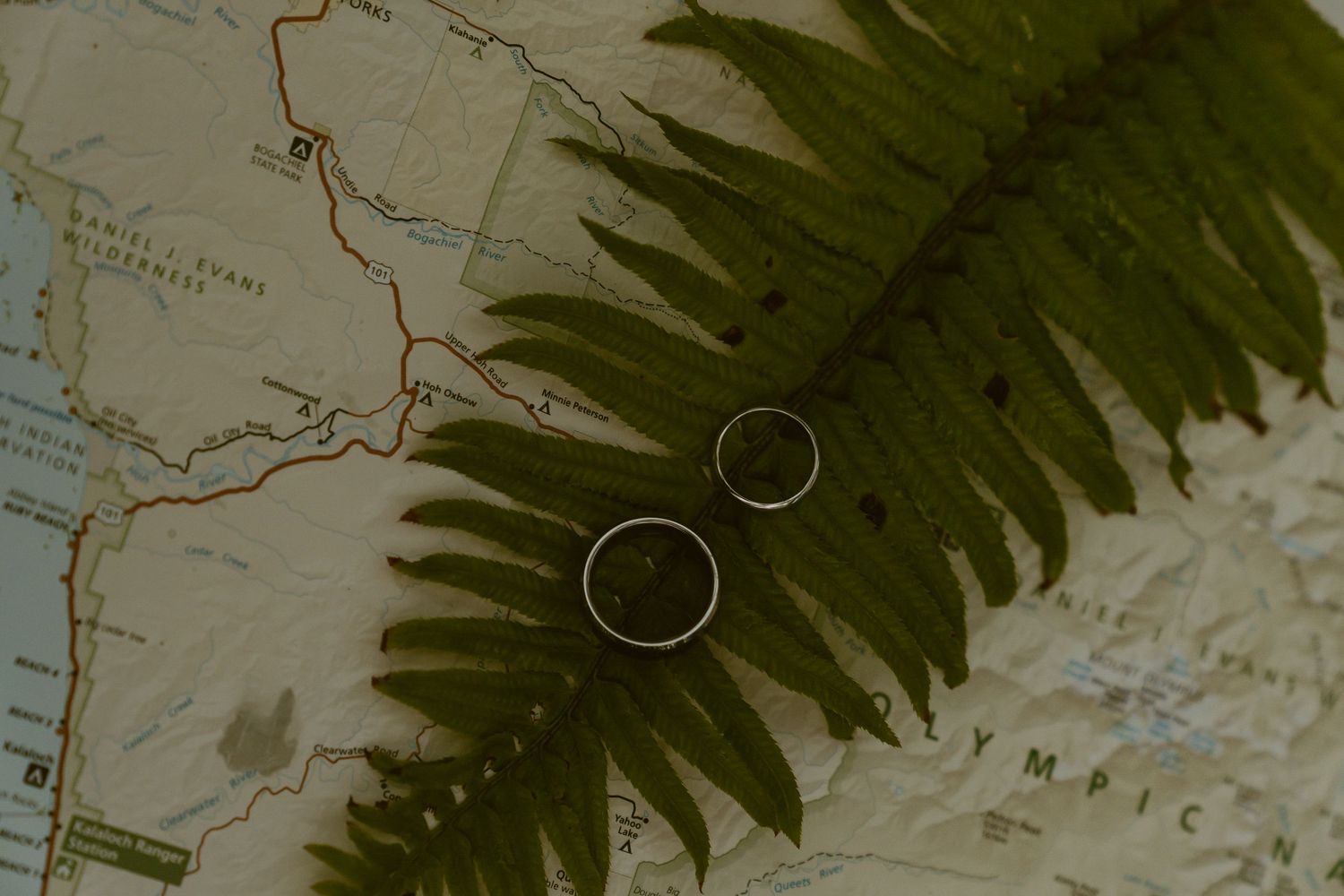 Two wedding rings resting on a fern leaf over an Olympic National Park map.