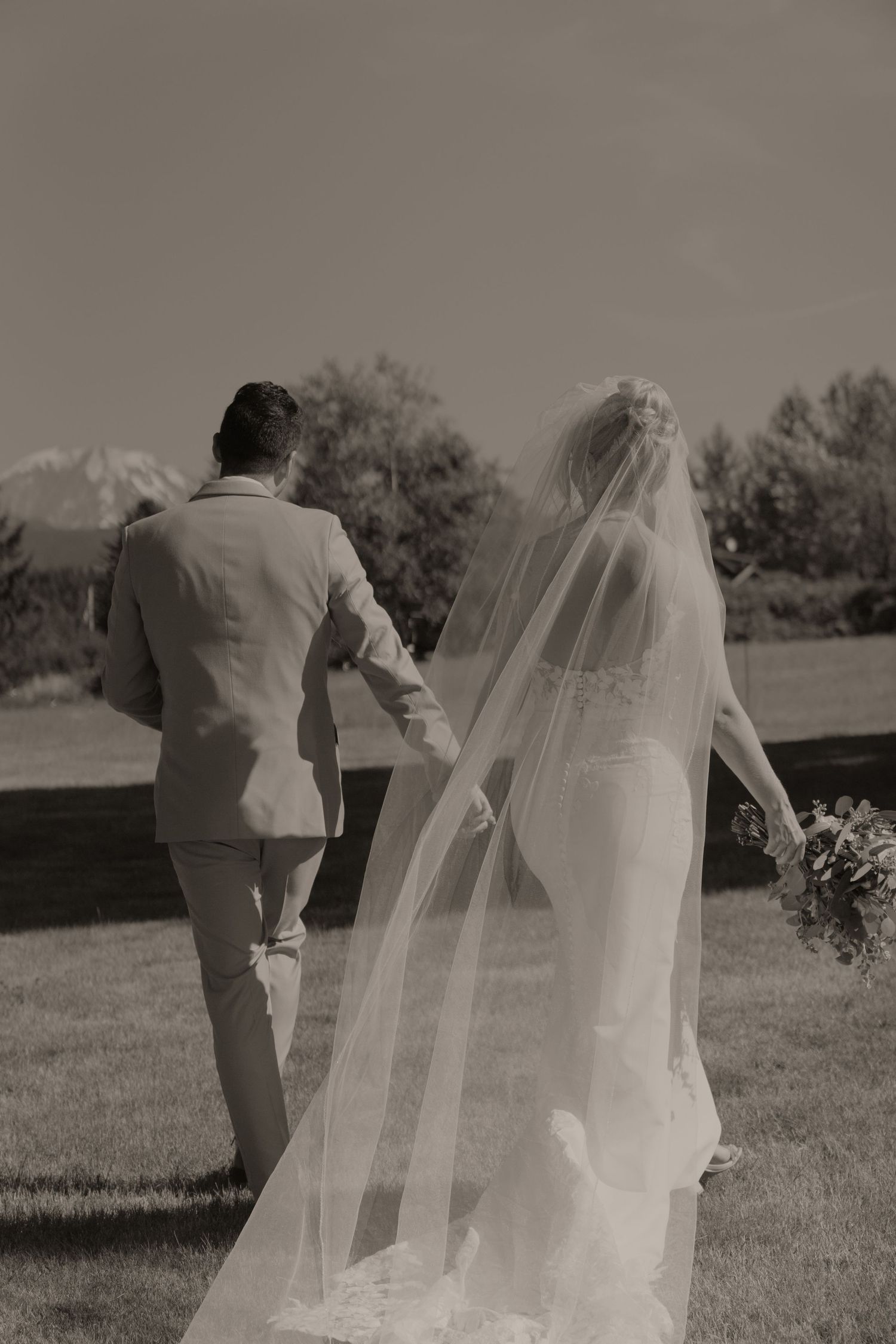 Wedding couple walking through a garden with flowing veil in black and white.