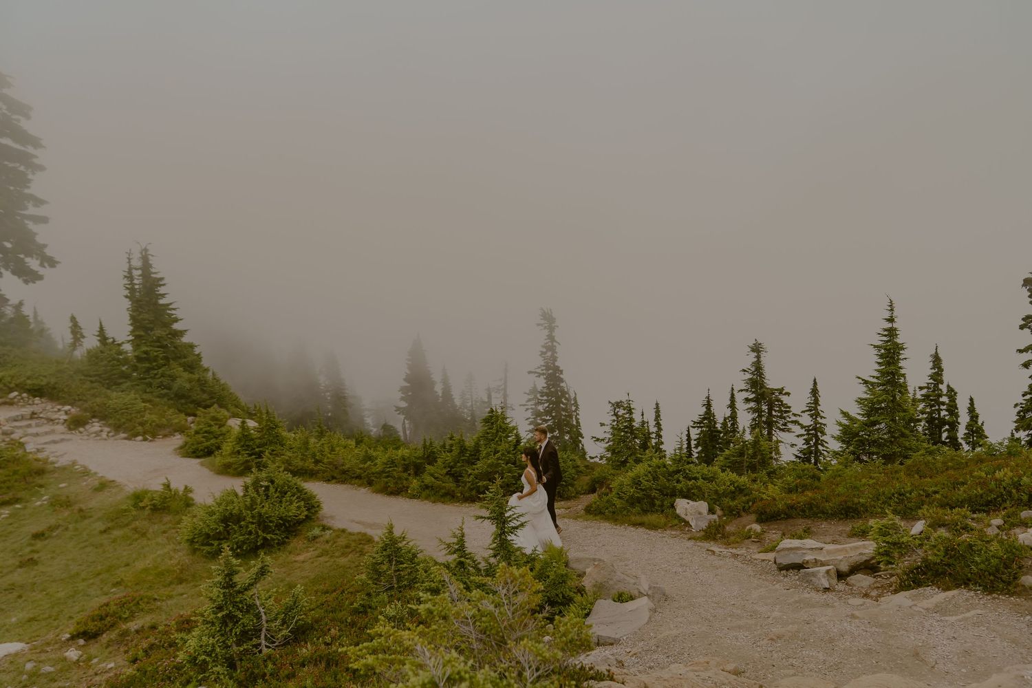 Misty mountain landscape with evergreen trees and a winding trail through foggy wilderness terrain.