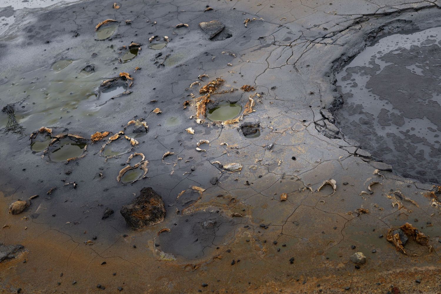 Textured ground surface showing dark muddy patches with scattered debris and organic matter.