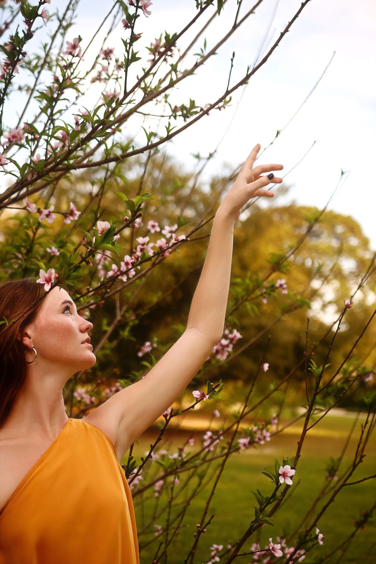 Woman in yellow top reaches up towards delicate pink cherry blossoms in a spring garden setting.