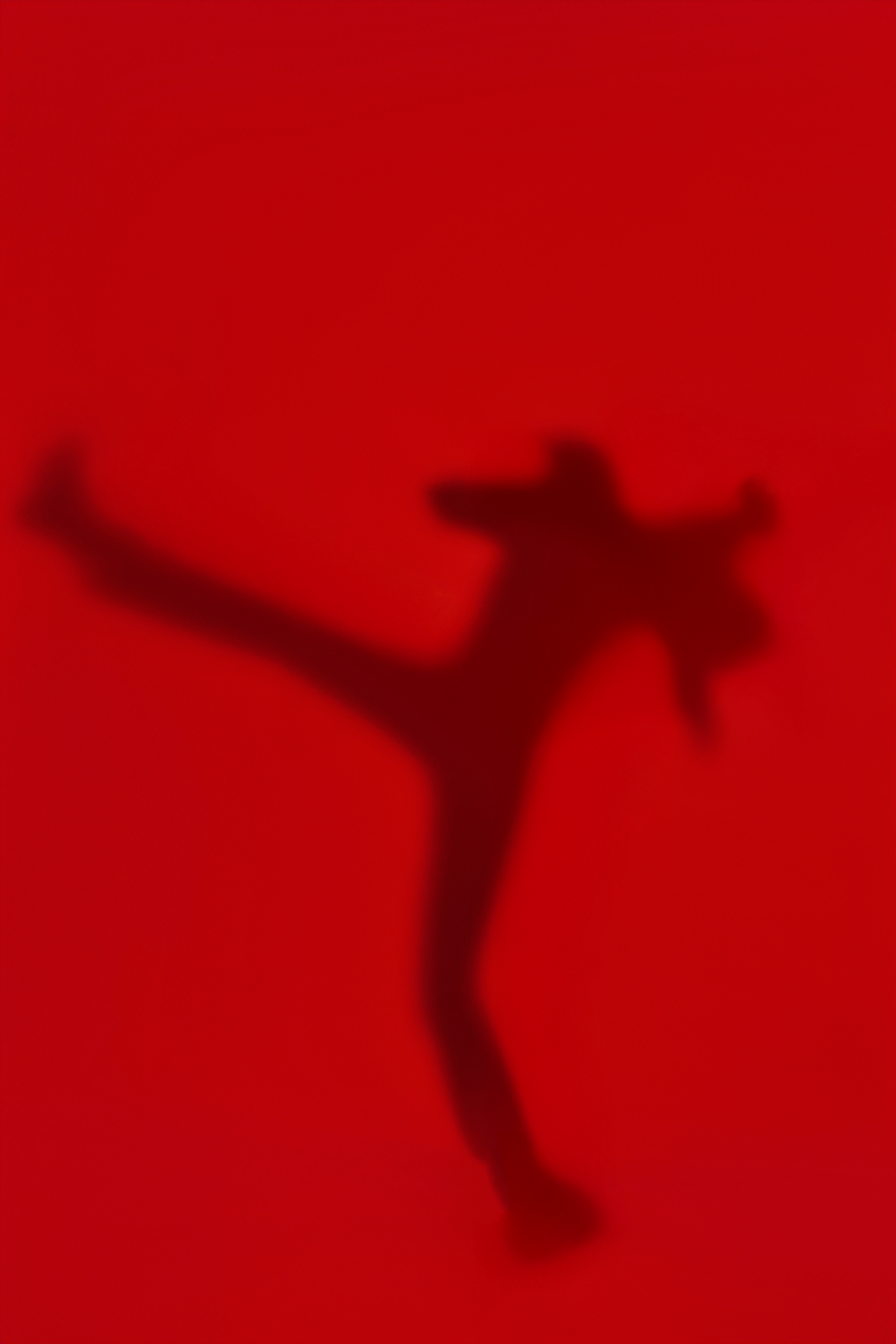 Silhouette of a martial artist performing a high kick against a vibrant red background.