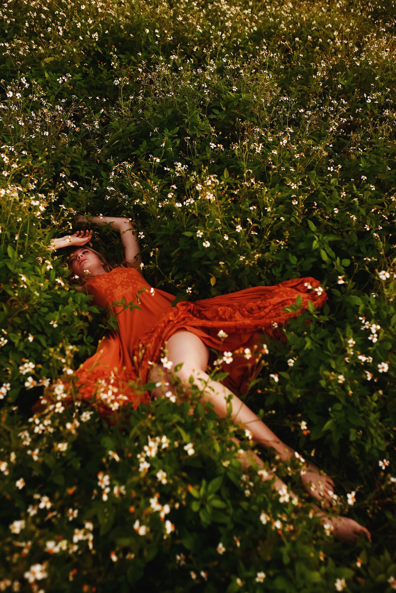 A flowing red dress stands out against a field of delicate white wildflowers and green foliage in a dreamy outdoor scene.
