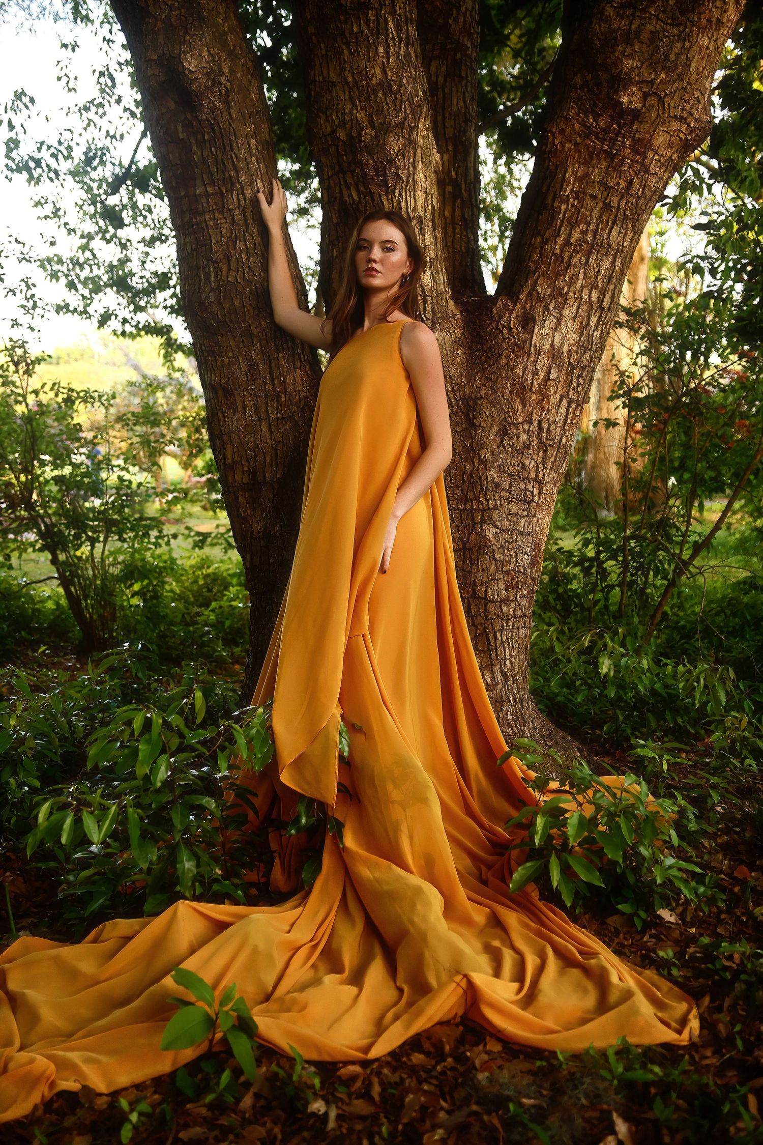 Person in flowing golden dress poses elegantly against large tree trunks in a lush forest setting at golden hour.