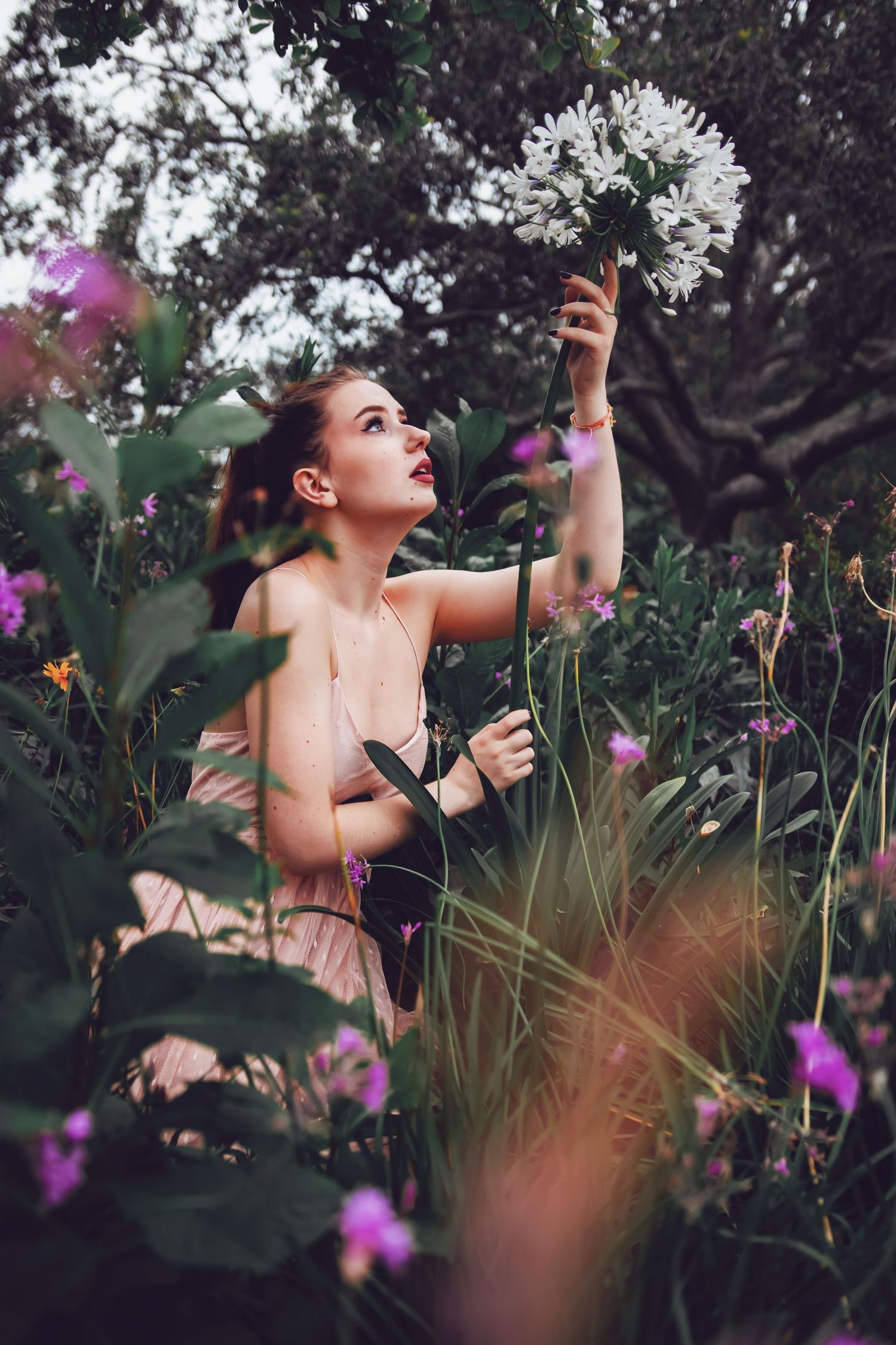 A person in a garden surrounded by purple flowers reaching upward toward a dandelion seed head in dreamy lighting.