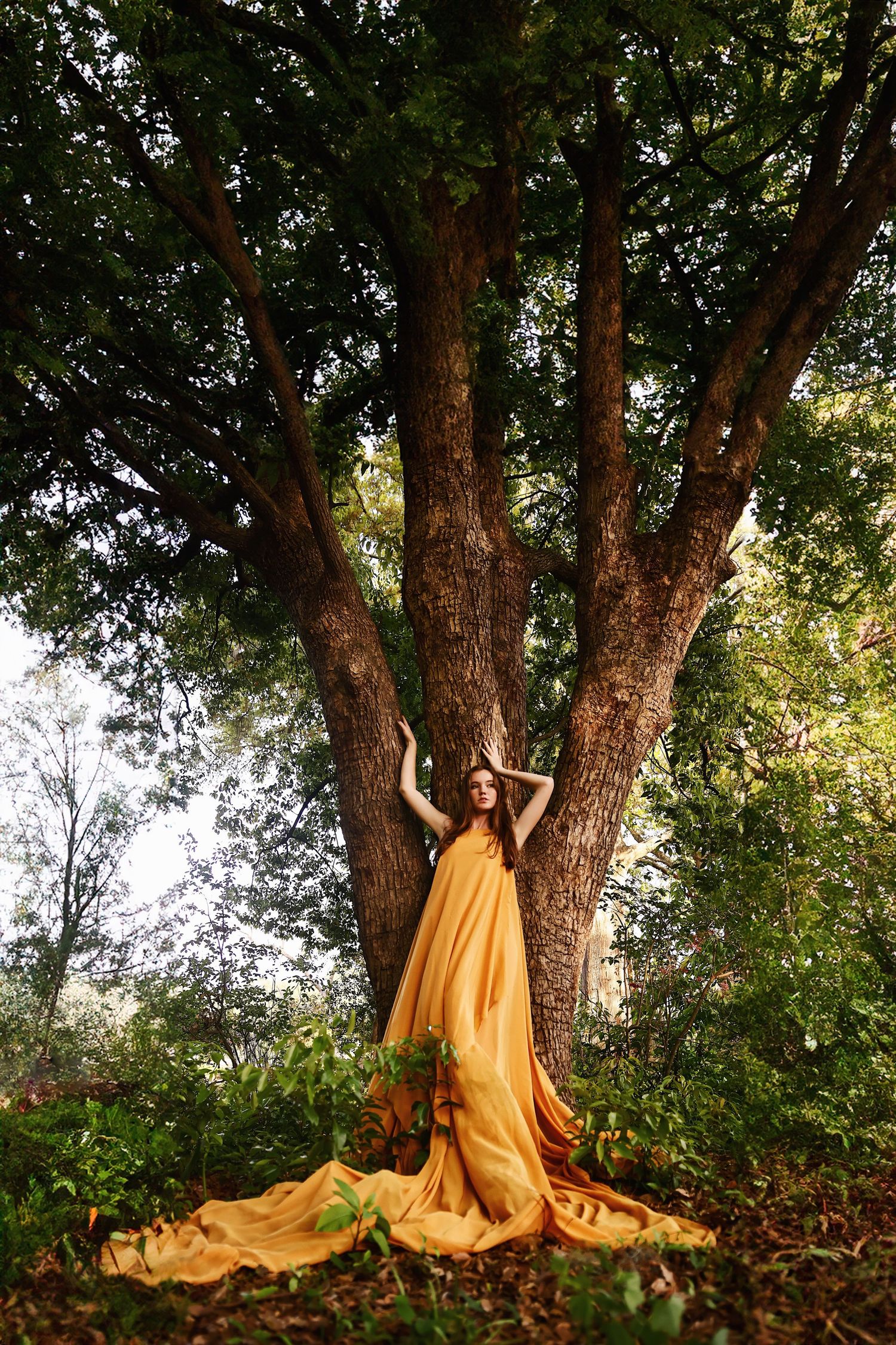 A person in a flowing yellow dress poses elegantly against a large branching tree trunk in a forest setting.