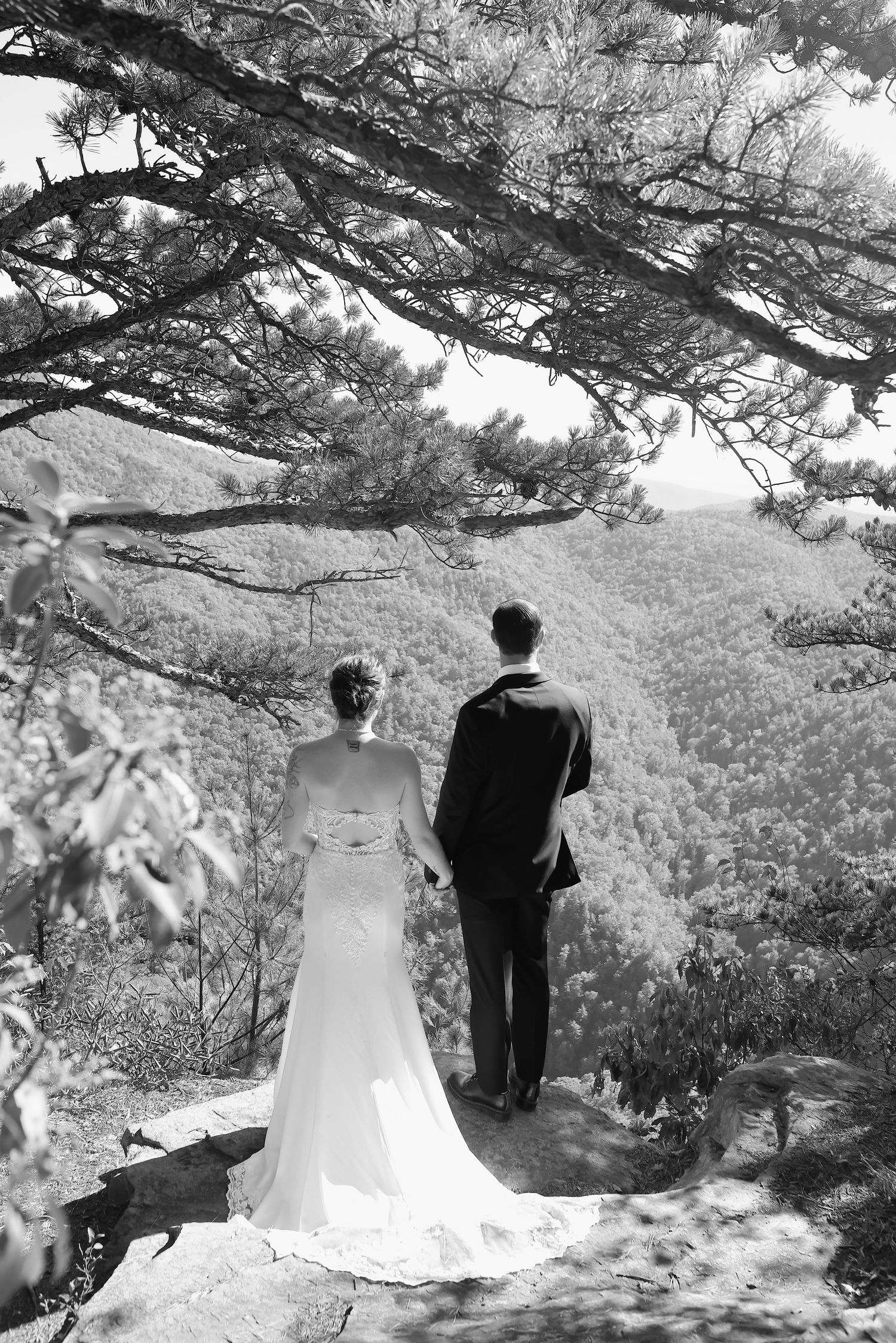 A black and white wedding photo sequence shows a couple under a tree branch in a romantic outdoor setting.
