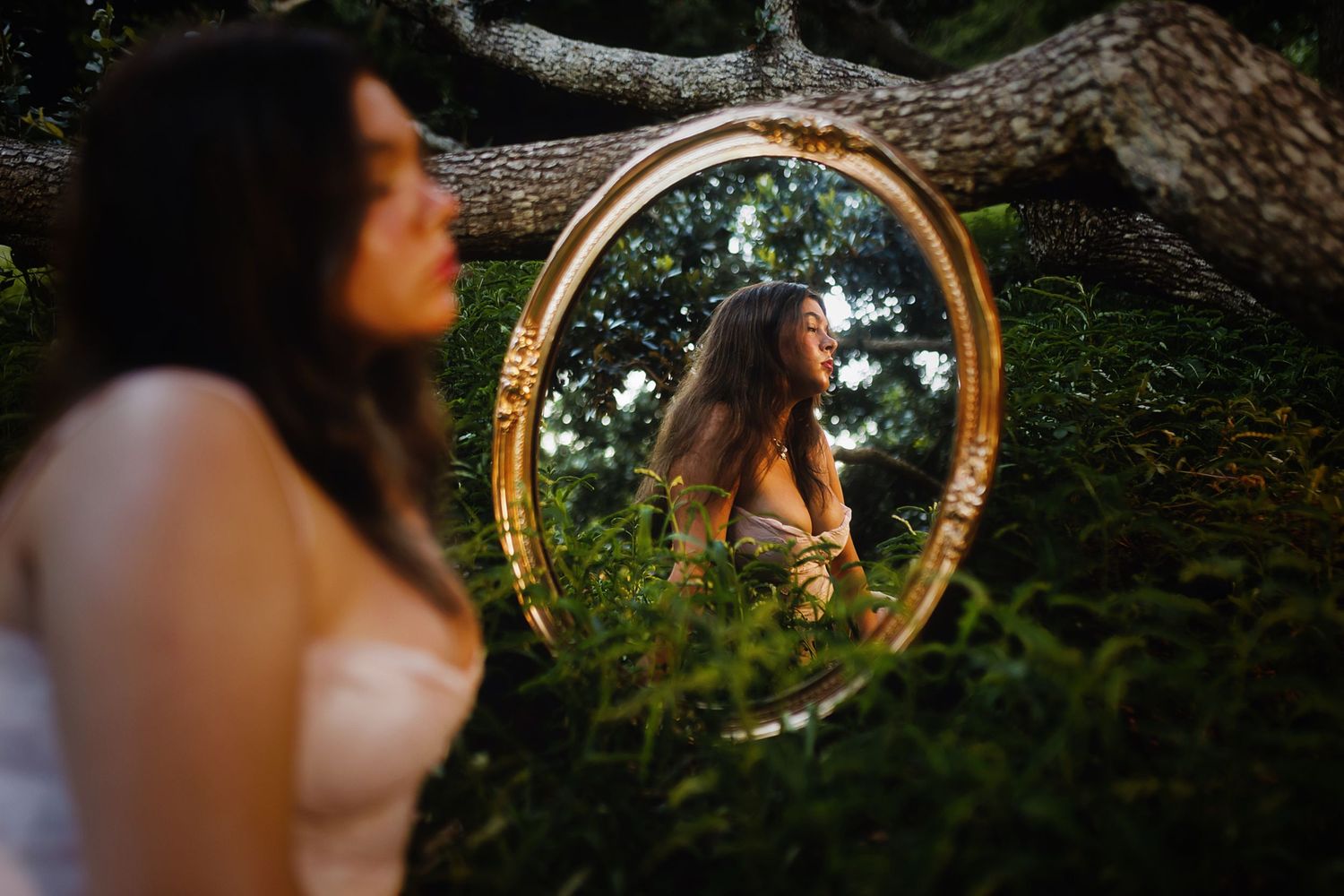 A round golden mirror reflects a serene forest scene with sunlight filtering through green foliage.