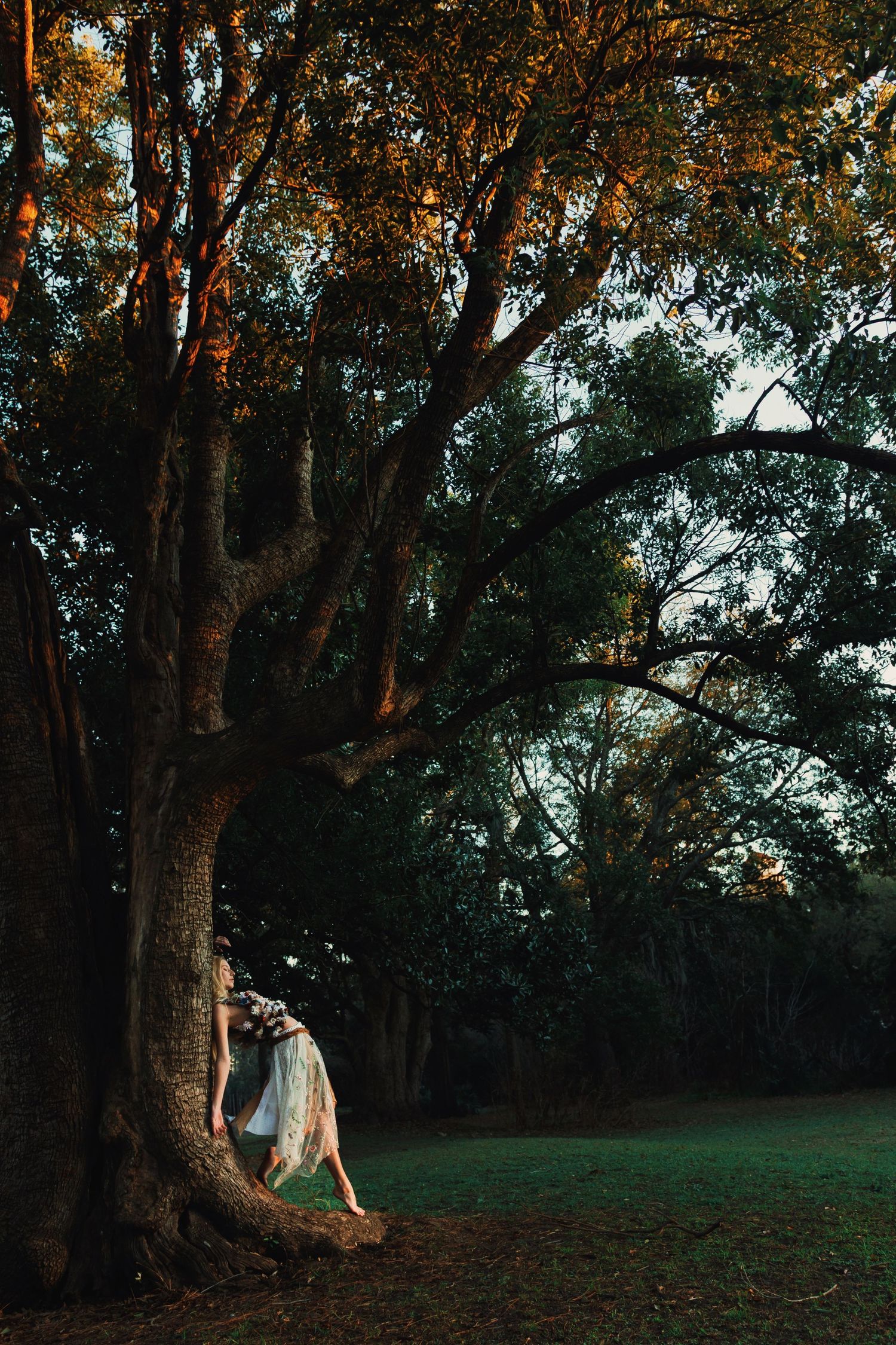A bridal couple shares a romantic moment under towering trees at sunset in a wooded outdoor setting.