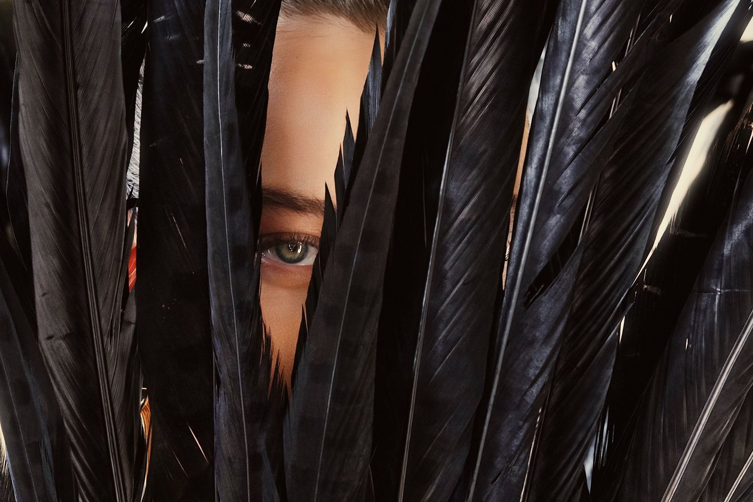 An eye peers through glossy black feathers creating a dramatic and mysterious composition.