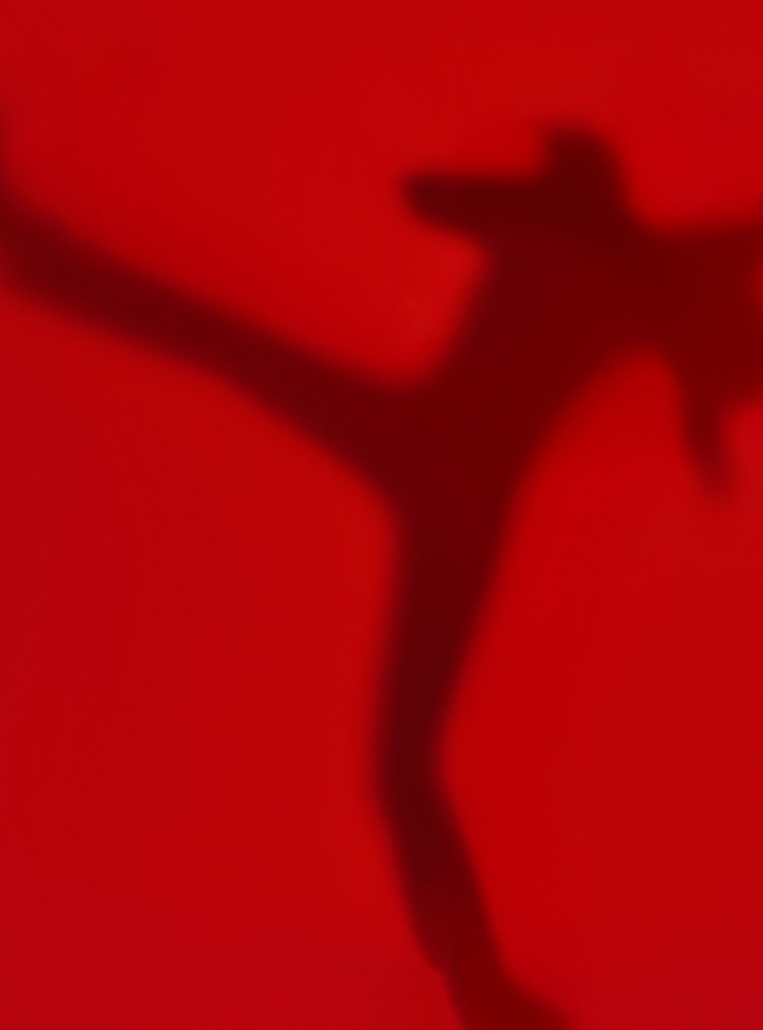 Shadow silhouette of a martial artist performing a high kick against a vibrant red background.