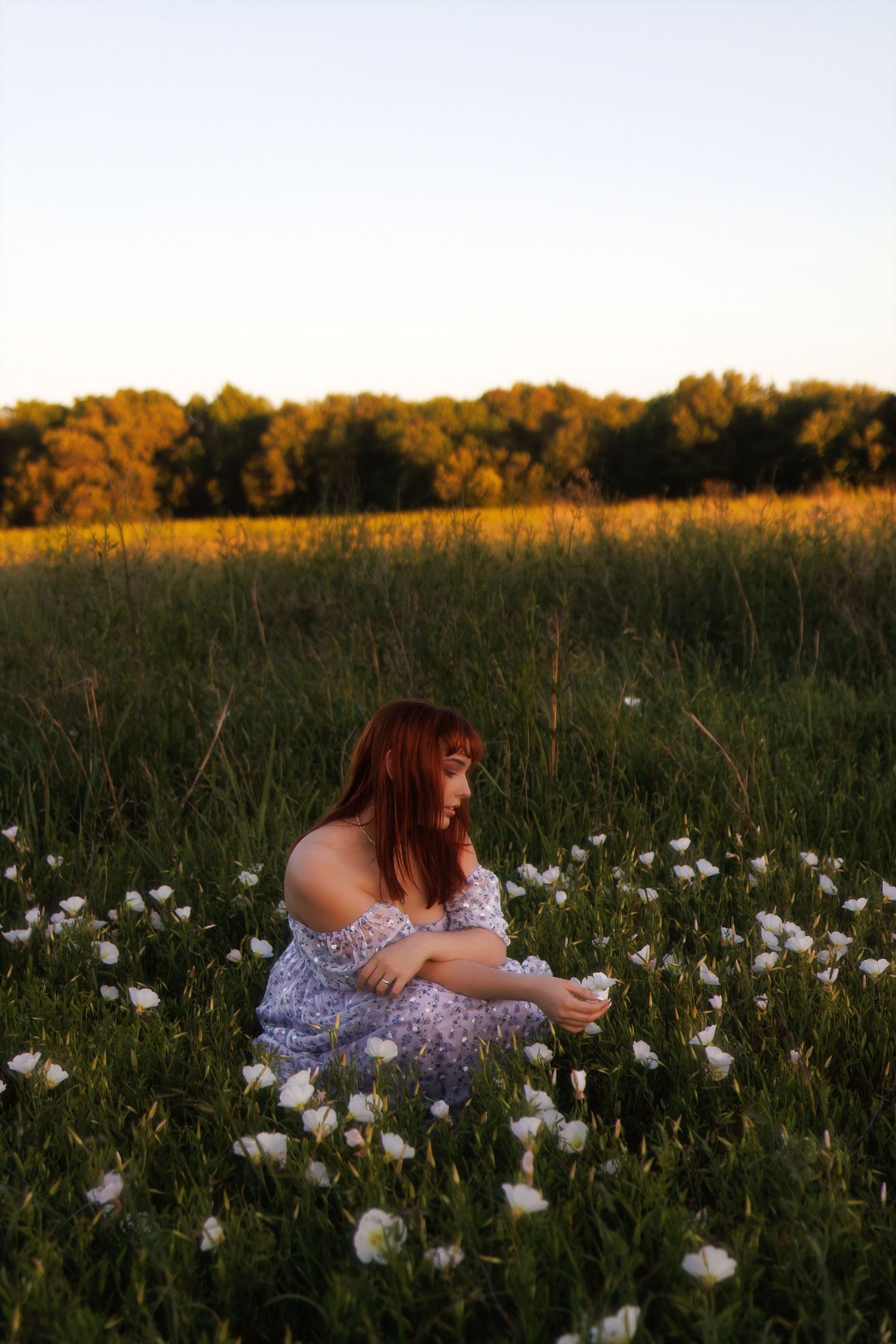 A person sits in a field of dandelions at golden hour as sunlight illuminates the meadow.