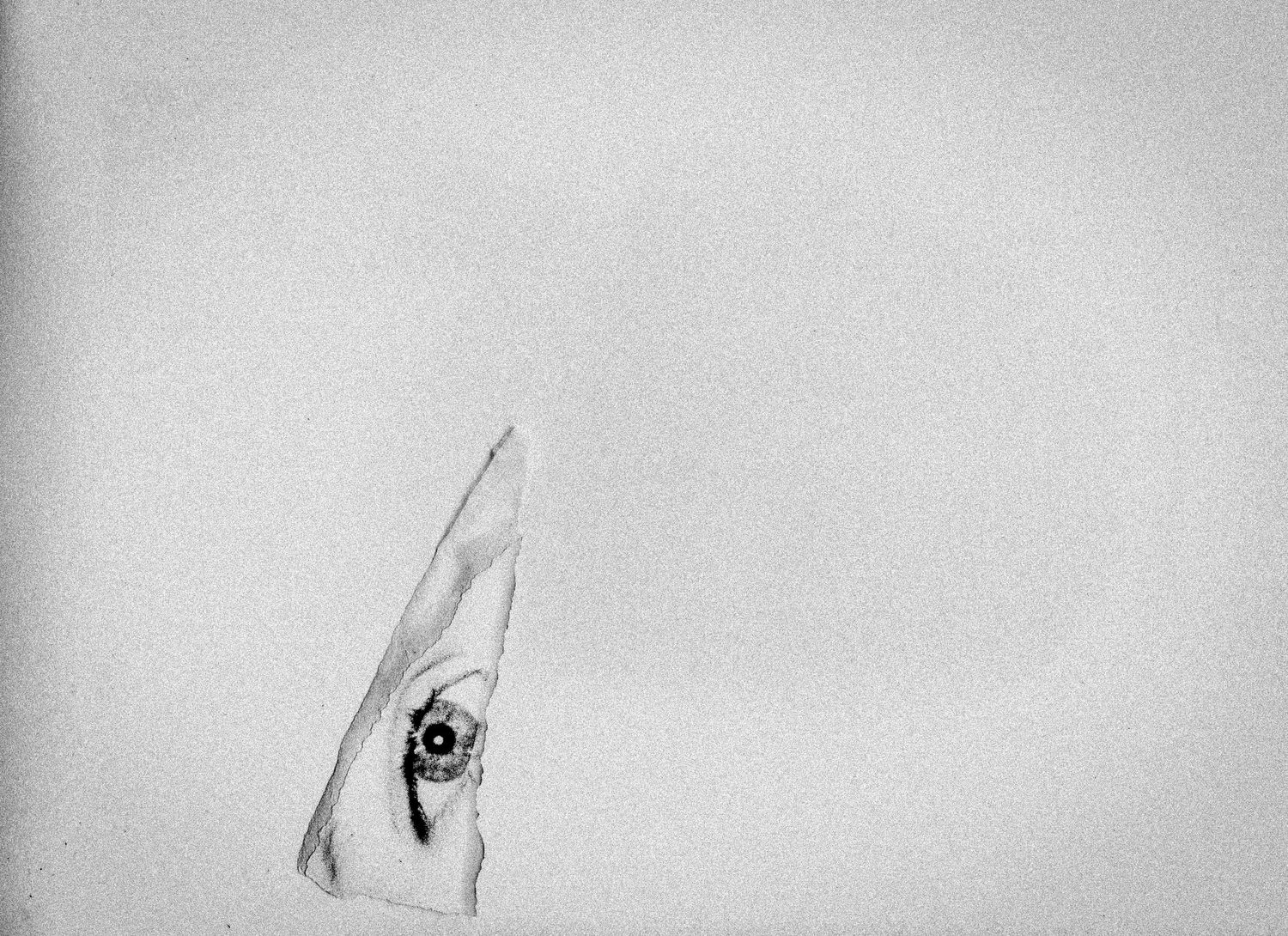Konzeptuelle Schwarzweiß-Fotografie: Ein Auge blickt durch einen Riss im Papier – minimalistisch und symbolisch. Jenny Jacoby