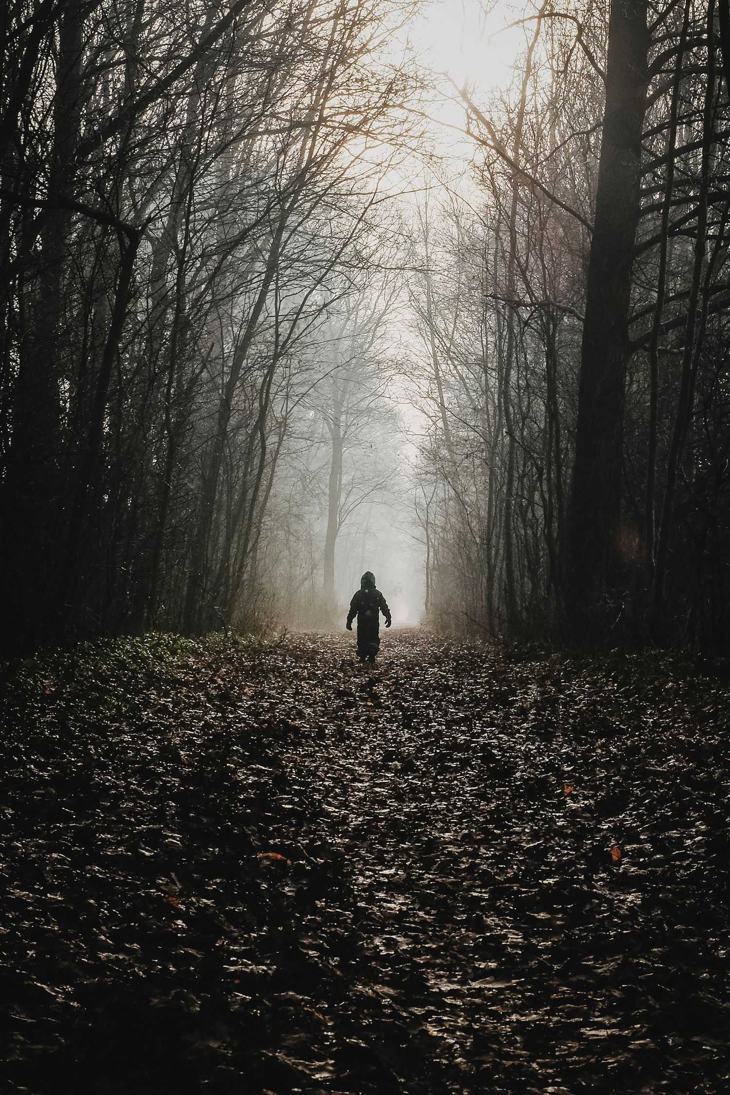 Einsame Person auf nebligem Waldweg im Herbst, atmosphärische Silhouette zwischen kahlen Bäumen und Laubweg
