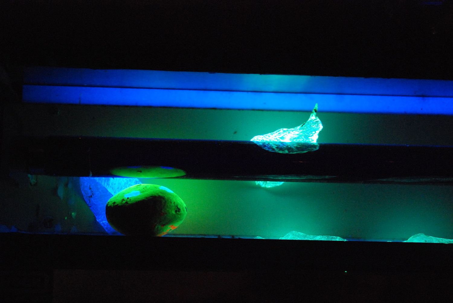 Abstrakte UV-Schwarzlicht-Installation mit blau-grünen Neonreflexen – faszinierende Lichtkunst in dunkler Umgebung.