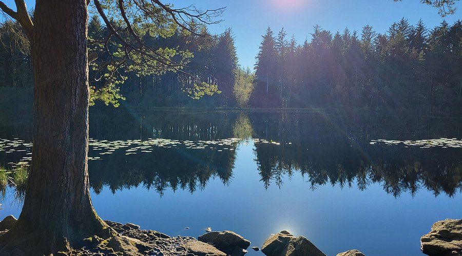 a lake in Dalbeattie Forest Dumfries and Galloway