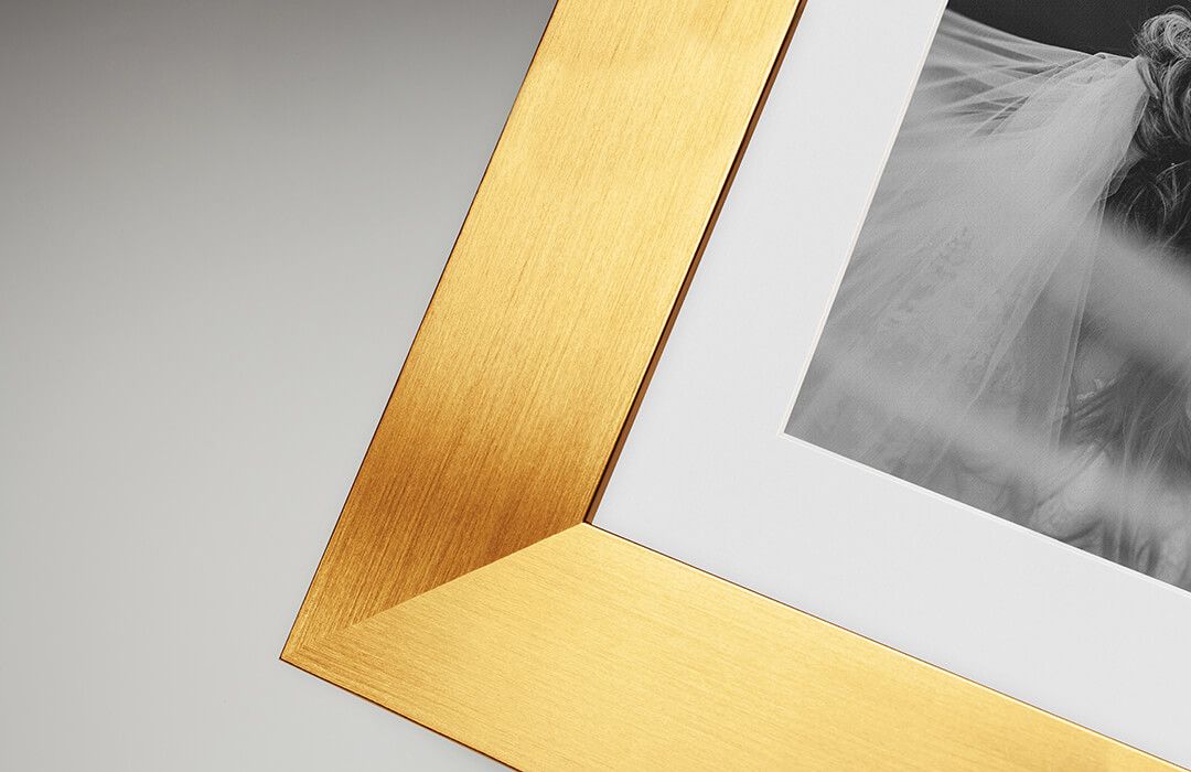 picture of metallic effect frame in Gold, which are products that 4 ever paw prints pet photography sells